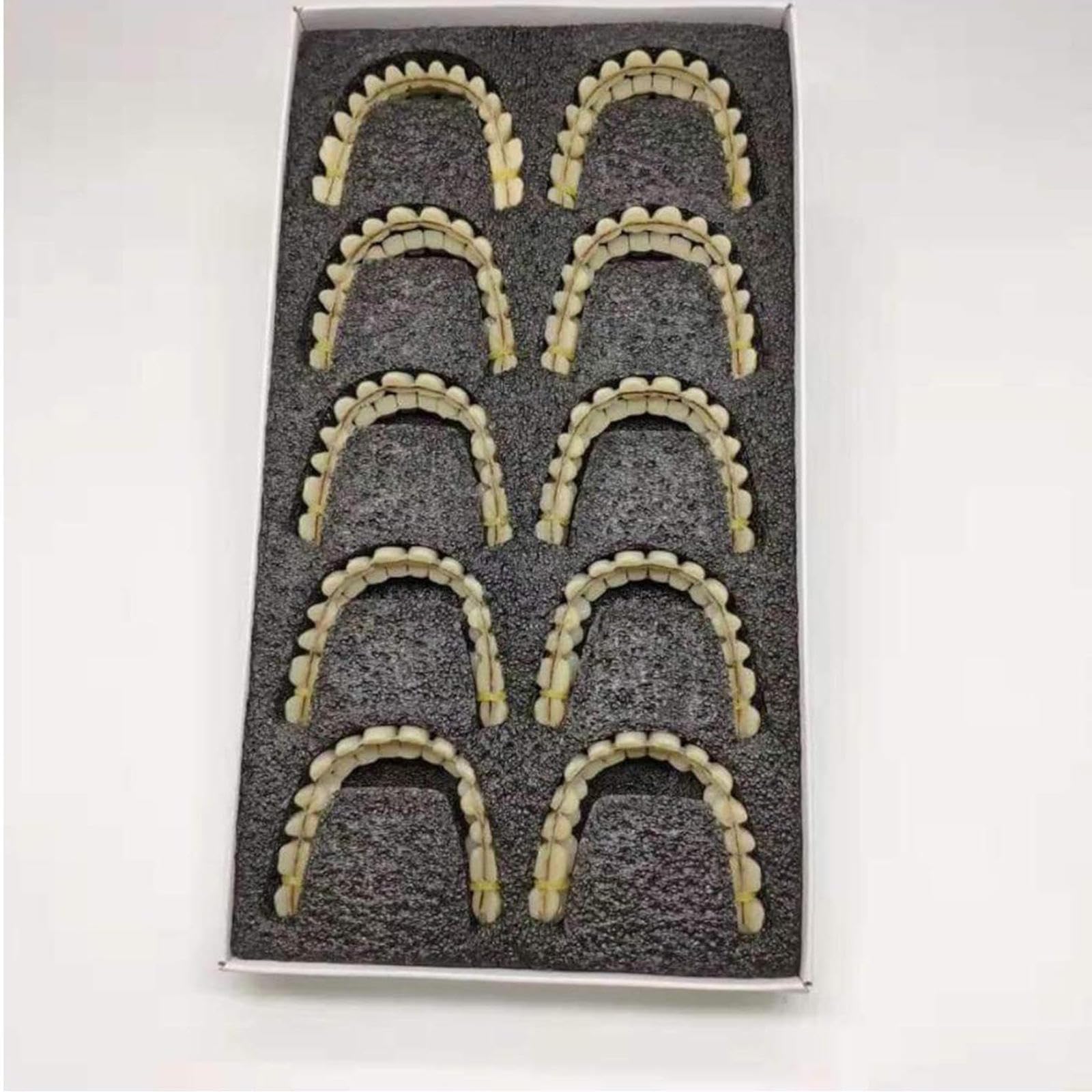 Modelo de Prótesis Dental de 10 Pares, Modelo de Anatomía Dental de Resina Sintética para Enseñanza de Exhibición de Estudio, Suministros de Laboratorio, Materiales Dentales
