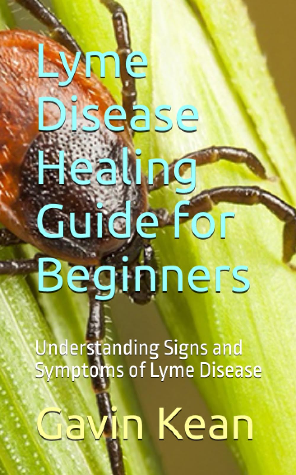 Lyme Disease Healing Guide for Beginners: Understanding Signs and Symptoms of Lyme Disease