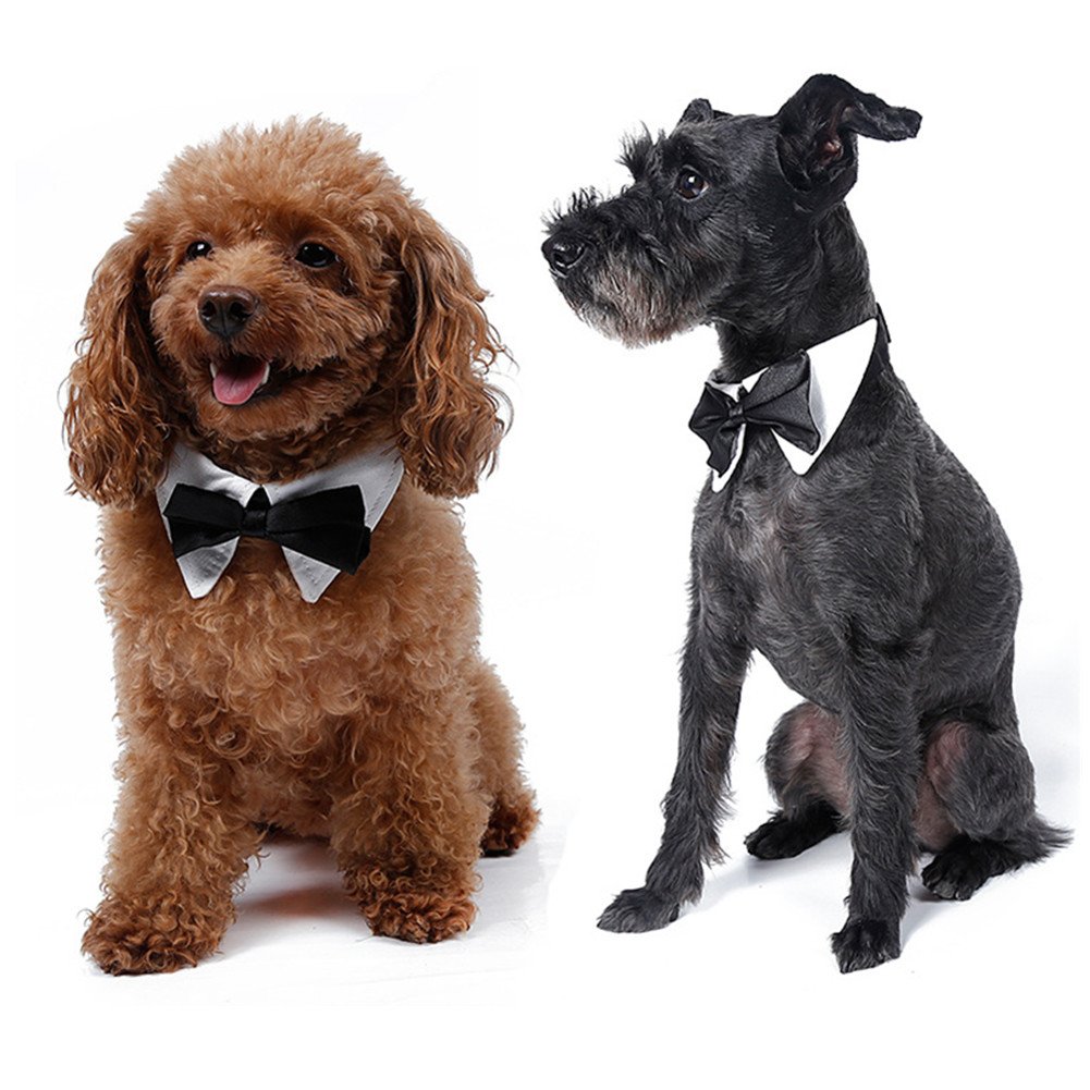 L-Peach Pet Costume Collar Adjustable Dog Bow Tie Dogs Cats Costume Collar Puppy Tie Perfect for Wedding Tie Party Accessories L - Image 2