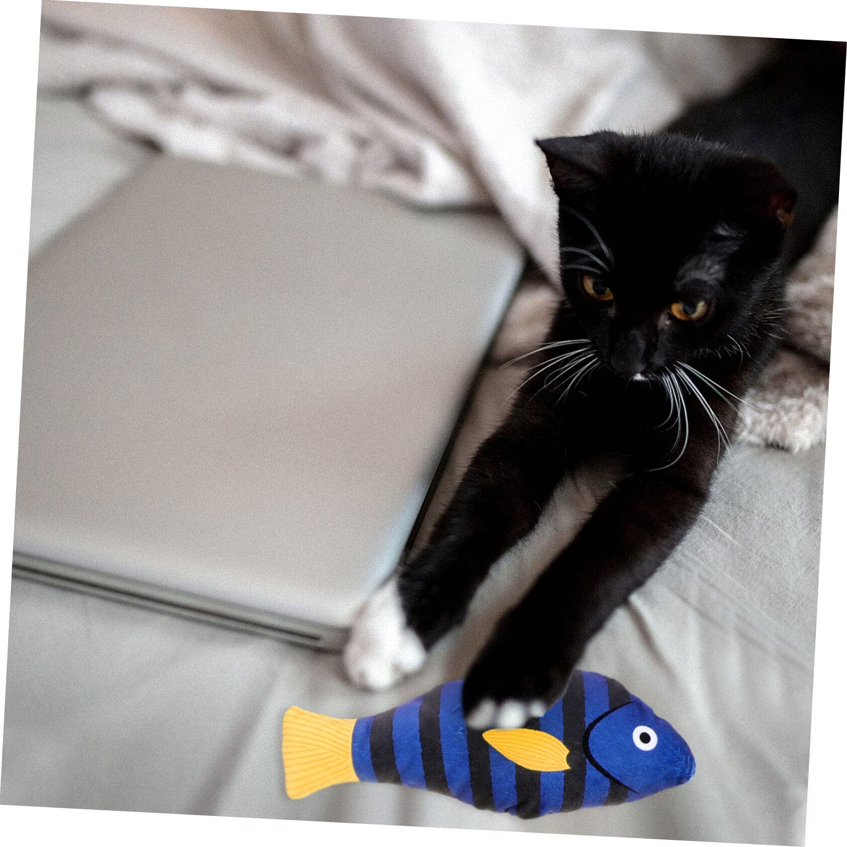 12stücke Teiliges Katzen-spielzeugset Plüsch Fischform Mit Quietscher Interaktives Katzenspielzeug Mit Katzenminze Für Stundenlangen Spielspaß Und Beschäftigung