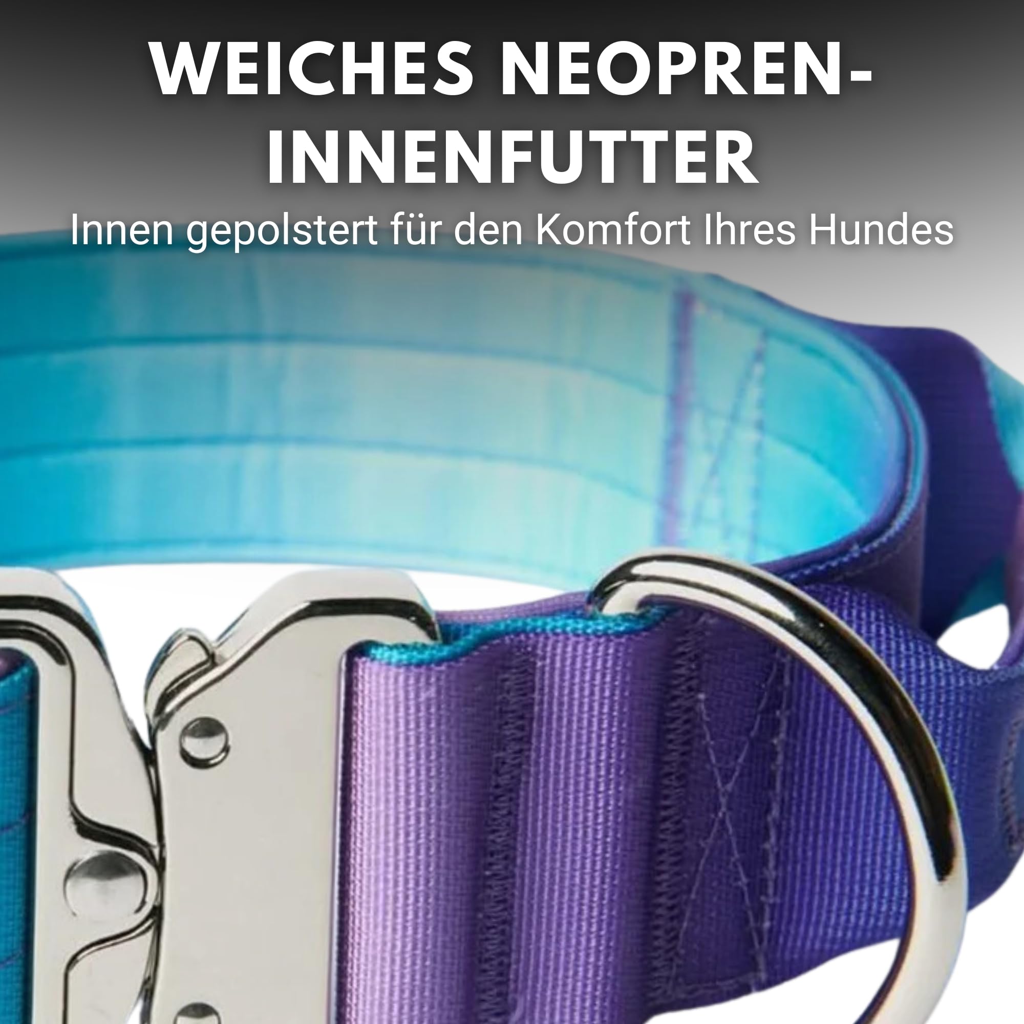 halsband fr sub Sub Zero Halsband fr Hunde und Katzen  UNIKTAG