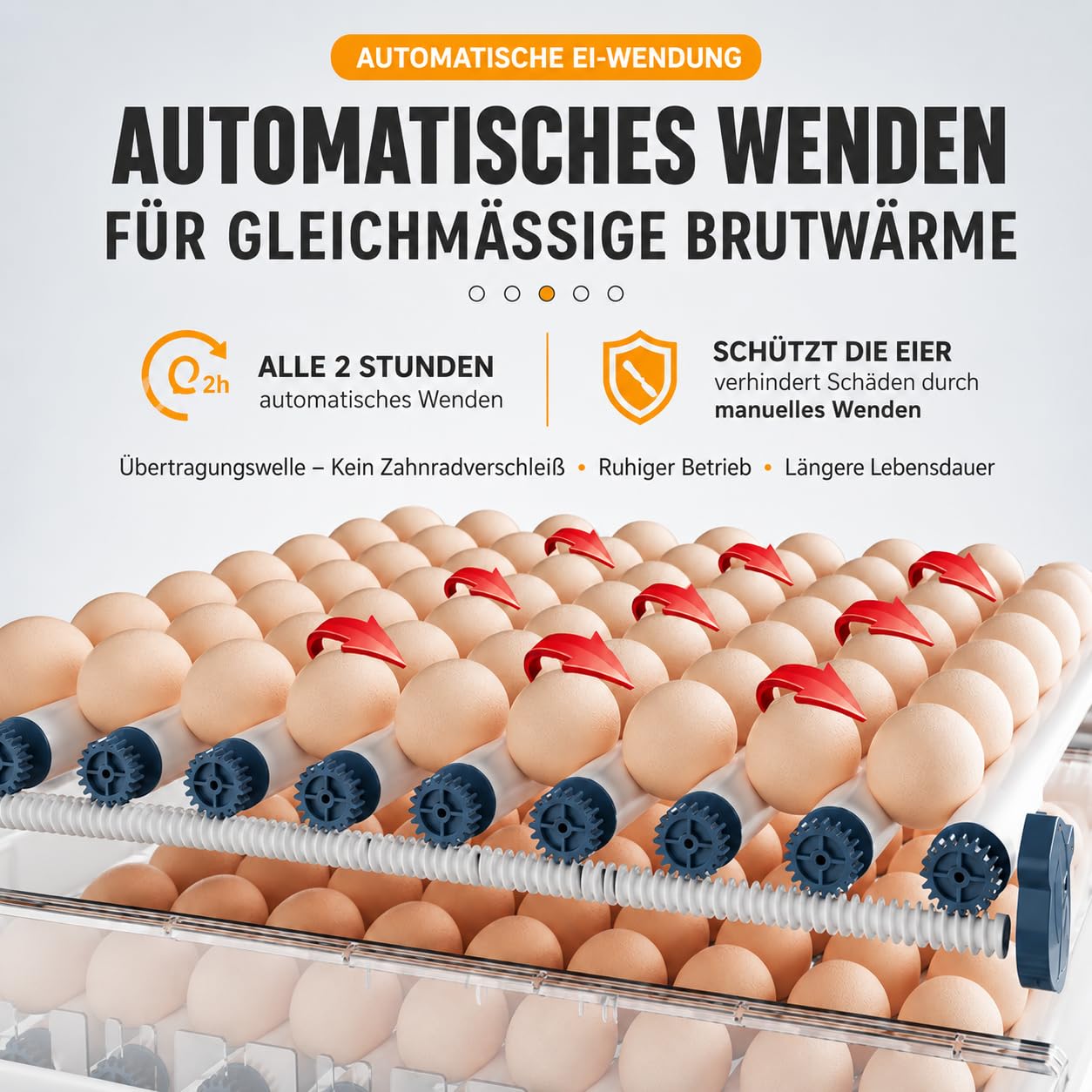 Incubadora de 36 huevos totalmente automática, incubadora con giro automático y adición de agua, incubadora para pollos, patos y codornices, incubadora de superficies con control de