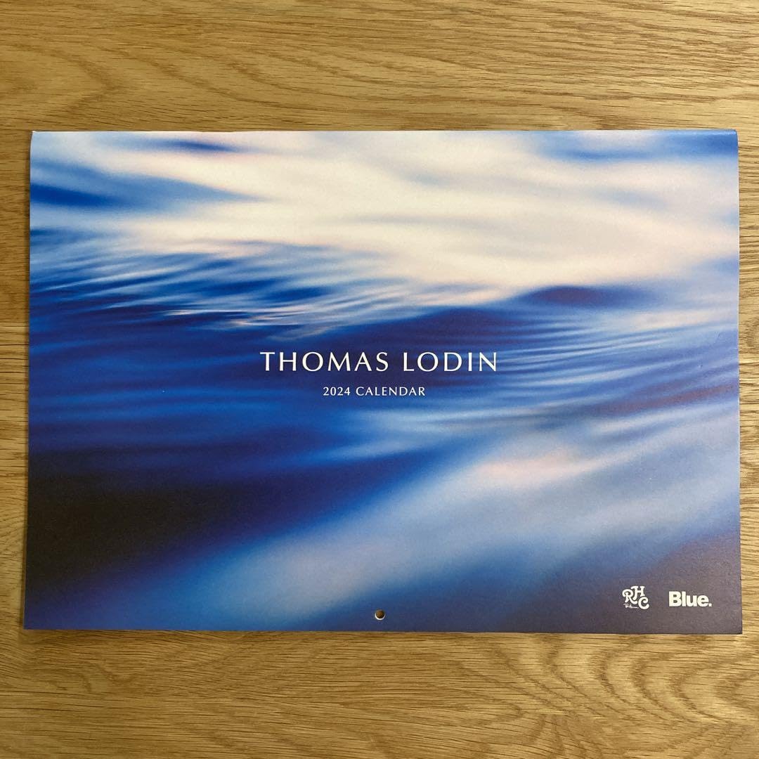 ロンハーマンで購入⭐︎ビートル　サーフィン ブリキ ロンハーマンで購入⭐︎ビートル サーフィン ブリキ