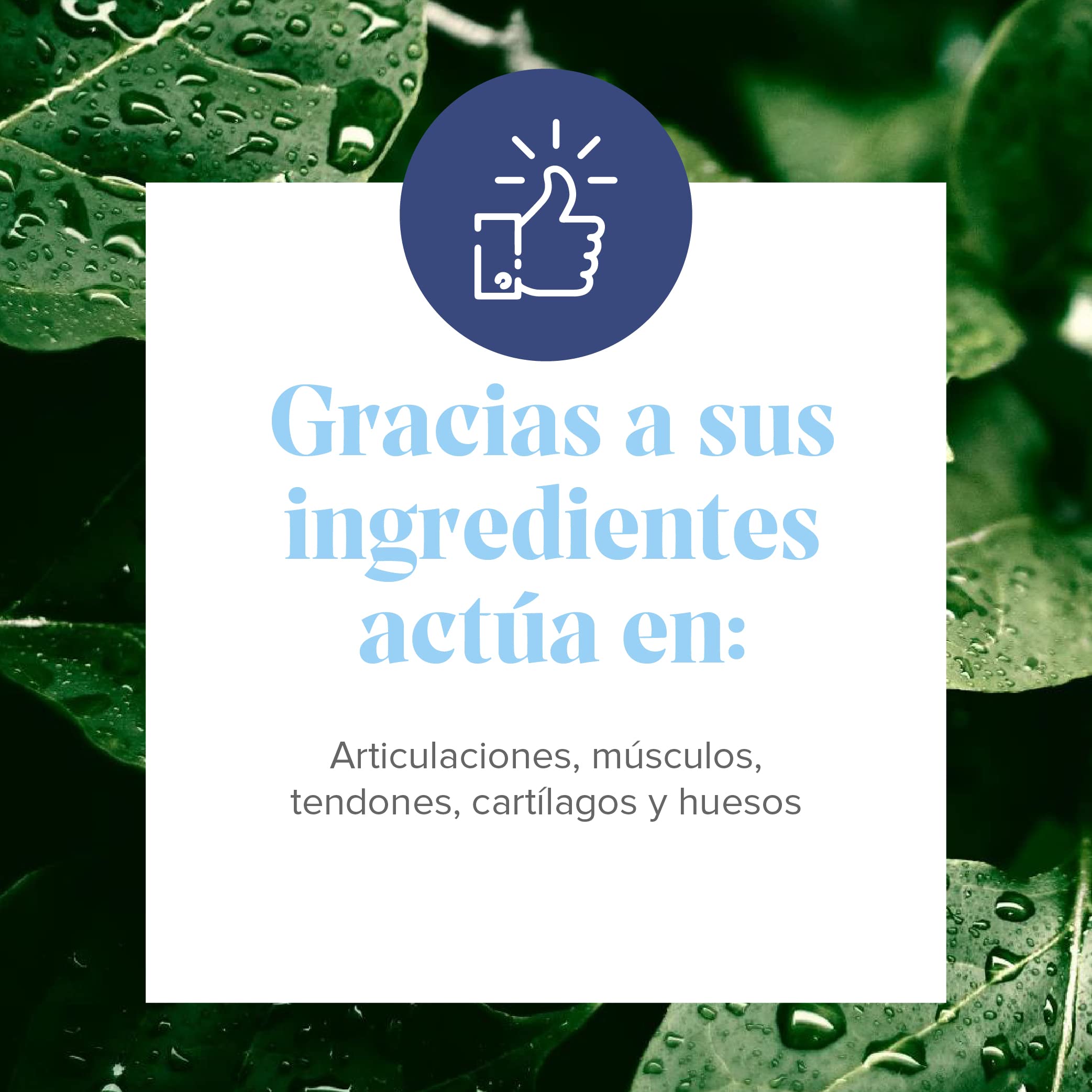Arkopharma - Arkoflex Colágeno Sport, Pack 2 x 390 g, con Colágeno Hidrolizado y Tipo II, Ácido Hialurónico, Magnesio y Cúrcuma, Apoyo para Articulaciones, Cartílago y Músculos, Sabor Naranja, Polvo