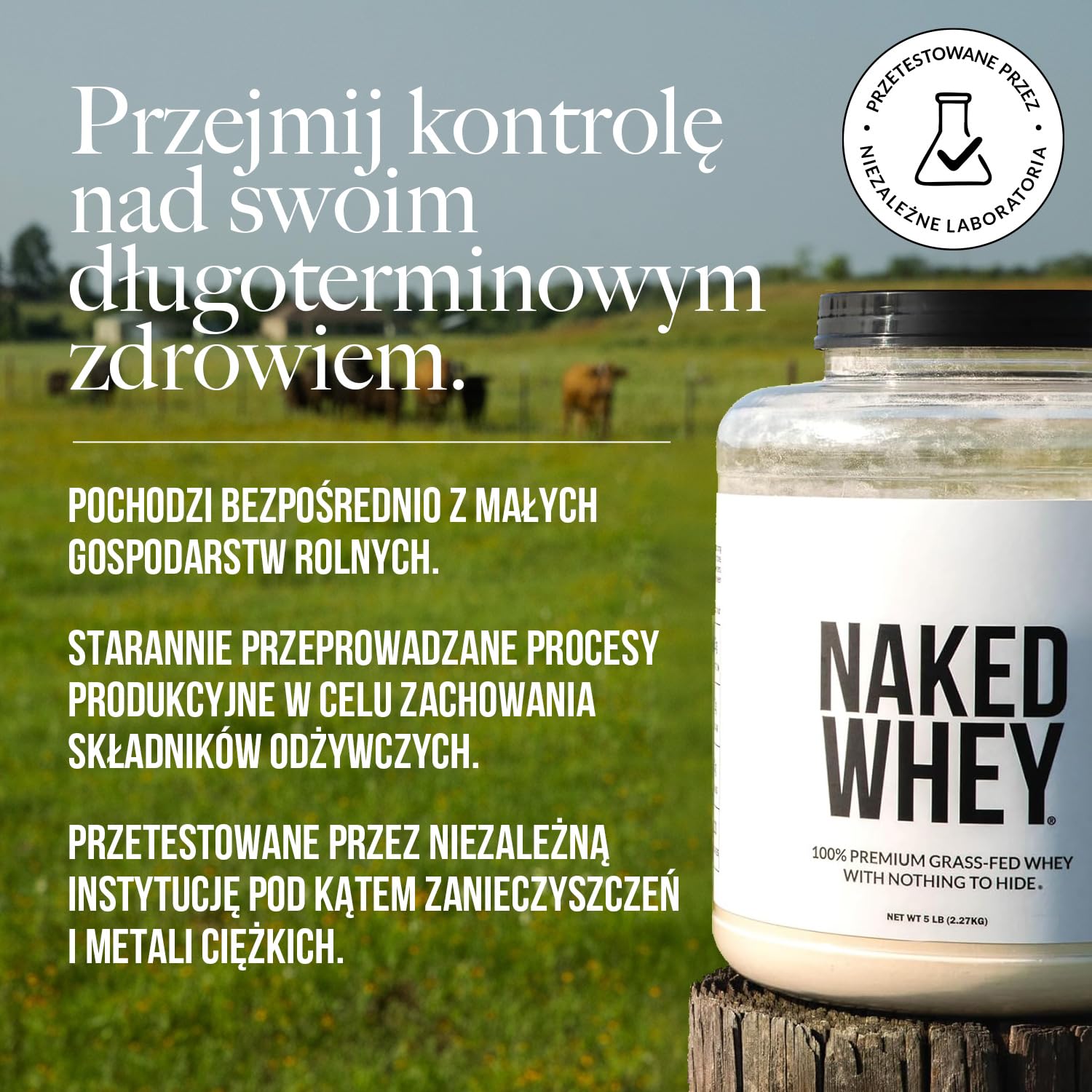 Naked Whey – białko serwatkowe w proszku, bez smaku, bez GMO, bez soi, bez glutenu, wspomaga wzrost i regenerację mięśni, 450 g