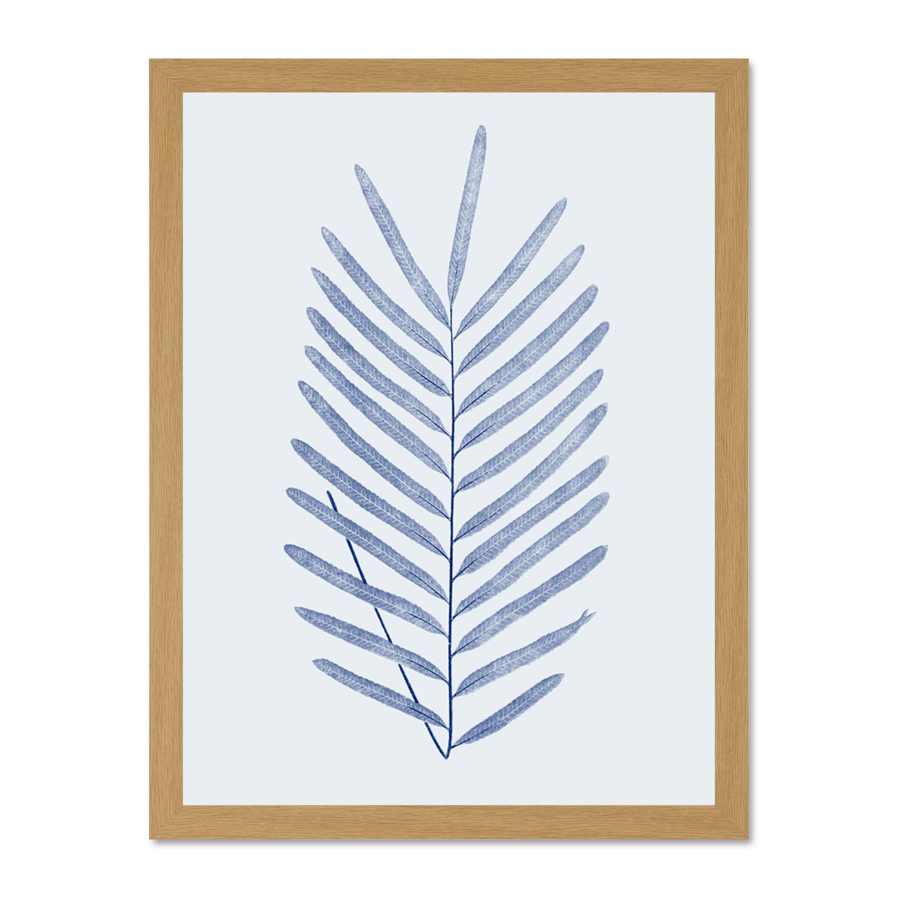 Wee Blue Coo Botanics Cobalt Fern Diversifolium Large Light Oak Framed Art Print Wall Poster 18x24 inch