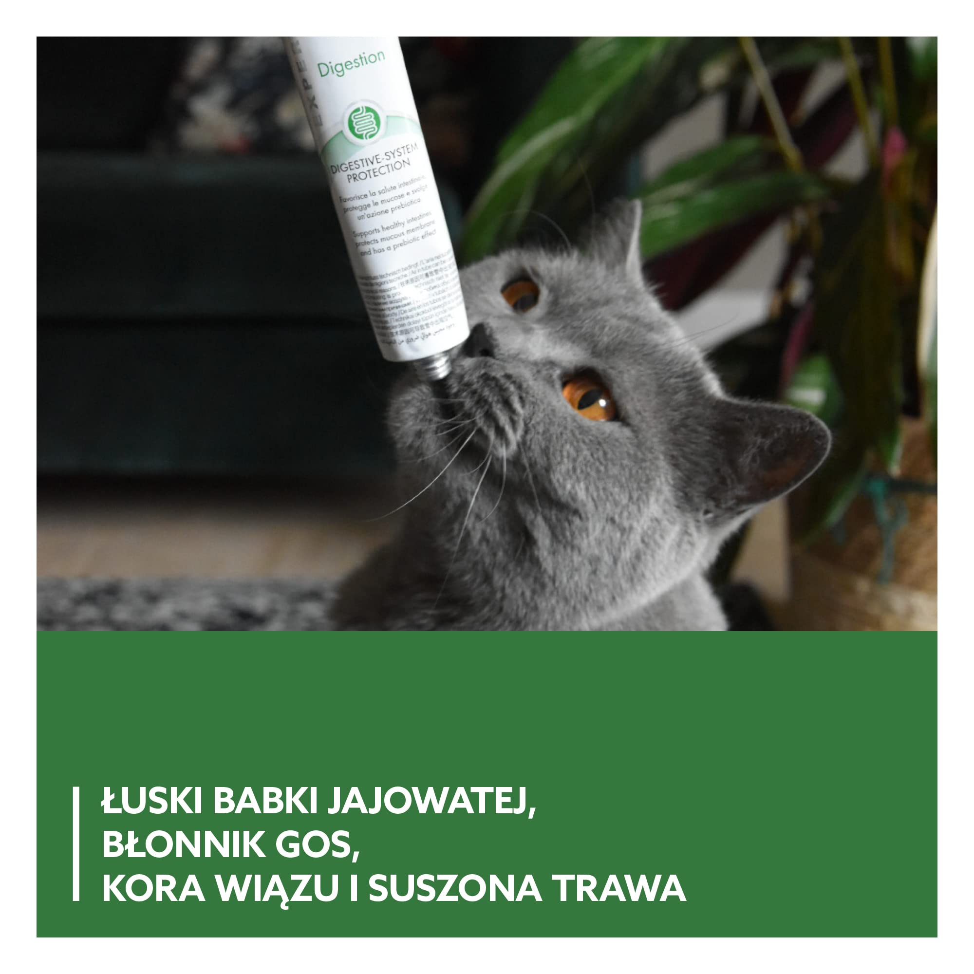 GimCat EXPERT LINE Gastro Intestinal pasta - Funkcjonalny przysmak dla kotów, wspomagający trawienie i mikroflorę jelitową - 1 tubka (1 x 50 g)