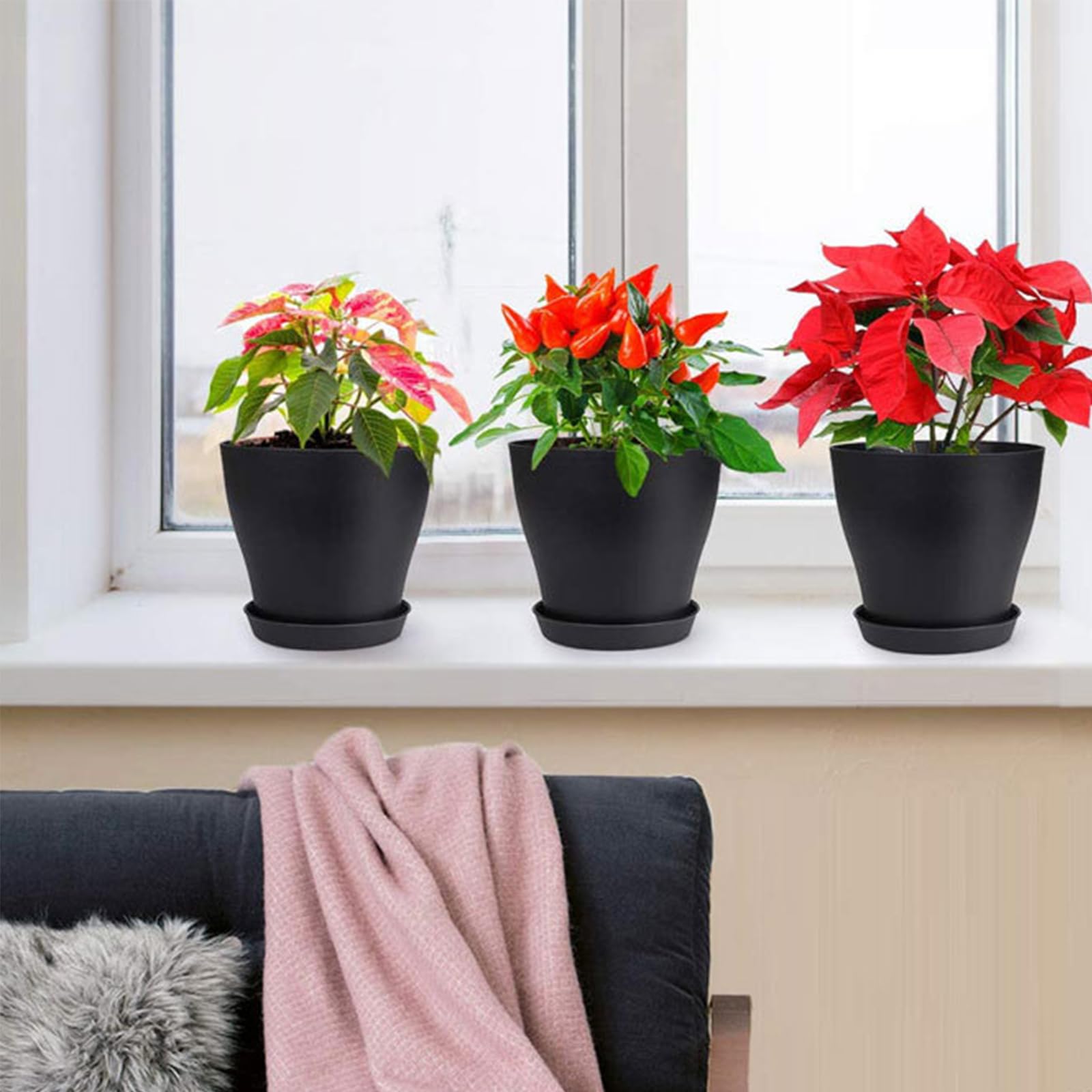 Lot de 50 petits pots de fleurs en plastique de 10,2 cm avec trous de drainage pour plantes grasses, cactus, herbes, violet africain (noir, 10,2 cm)