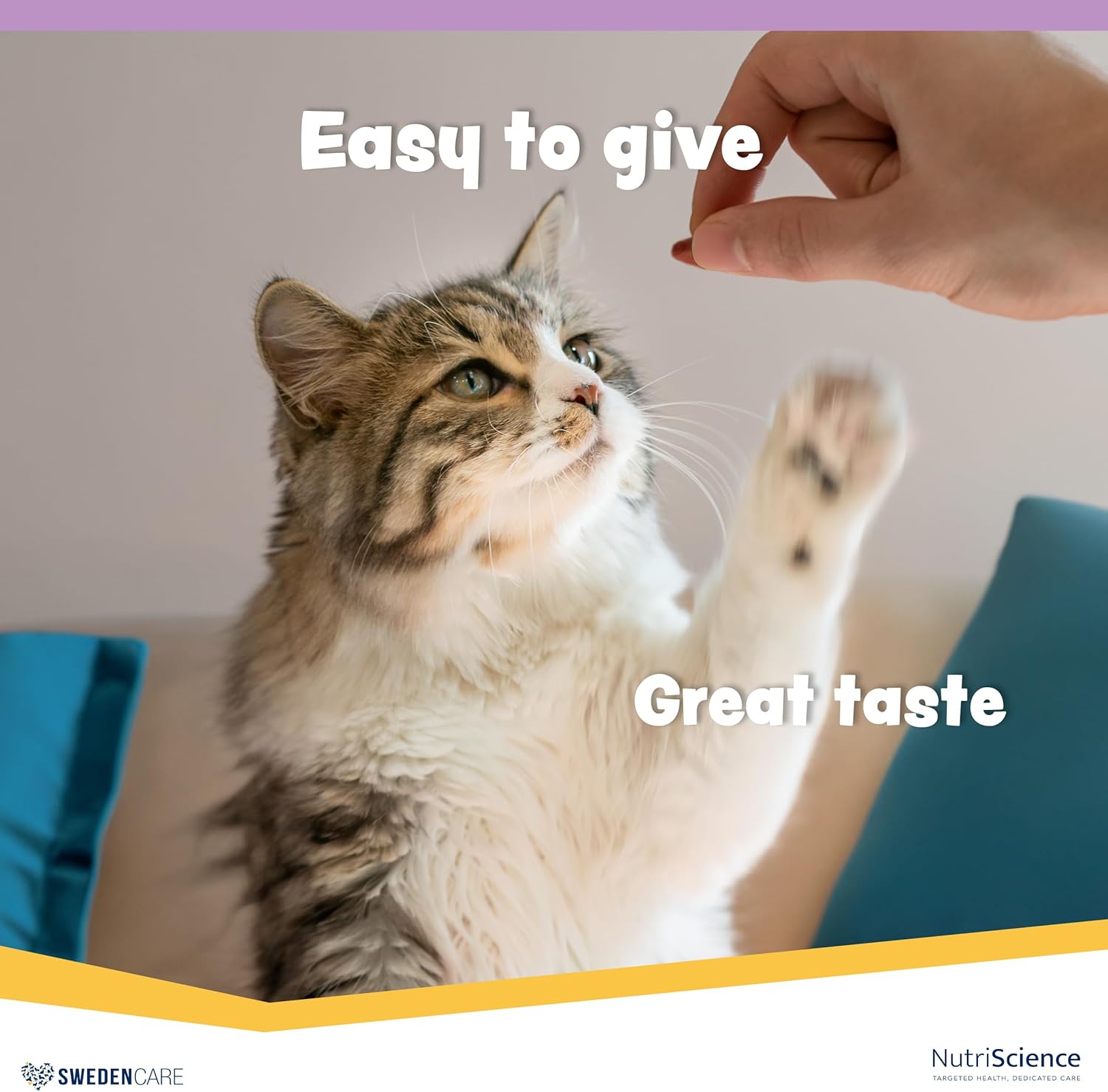 Wellichews Calming Chews For Dogs and Cats - Seperation Anxiety Relief for Dogs - Puppy, Small Dog & Cat Calming Treats for Chronic or Acute Anxiety & Behaviour Problems 4 71fwiYCP02L. AC SL1500