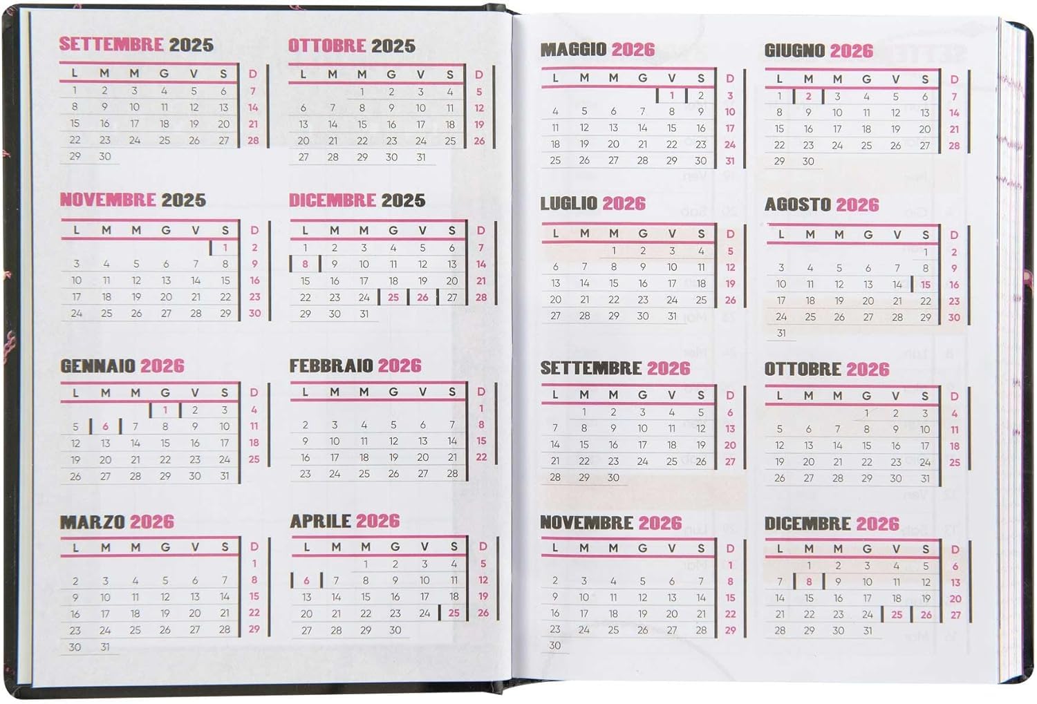 Agenda Compatibile Con Diario Scuola Vera Baddie Anna 2025-2026, Agenda Giornaliera 16 Mesi Per Ragazze Scuola Elementare E Medie, 12x16.5 Cm + Portachiave Pailettes E Penna Multicolore