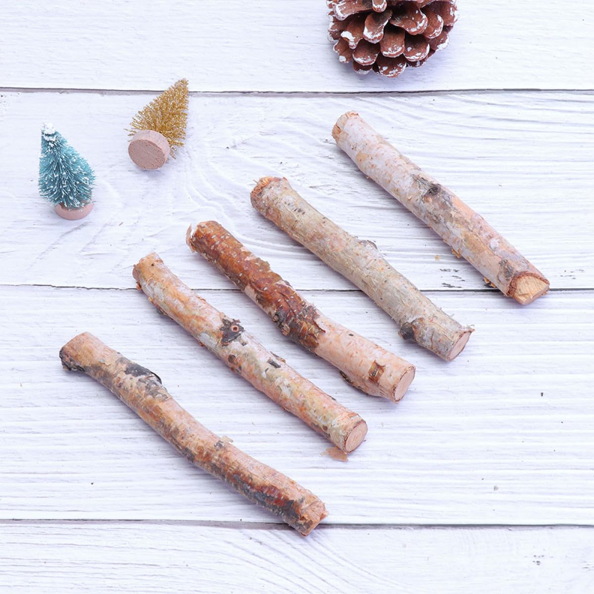 Lurrose 40 Pezzi Tronchi Decorativi in Betulla Naturali 10-20 Cm Corda, Rametti per Decorazione Vasi e Arredamento Casa, Elementi Secchi per Addobbi Natalizi e Artigianato Creativo