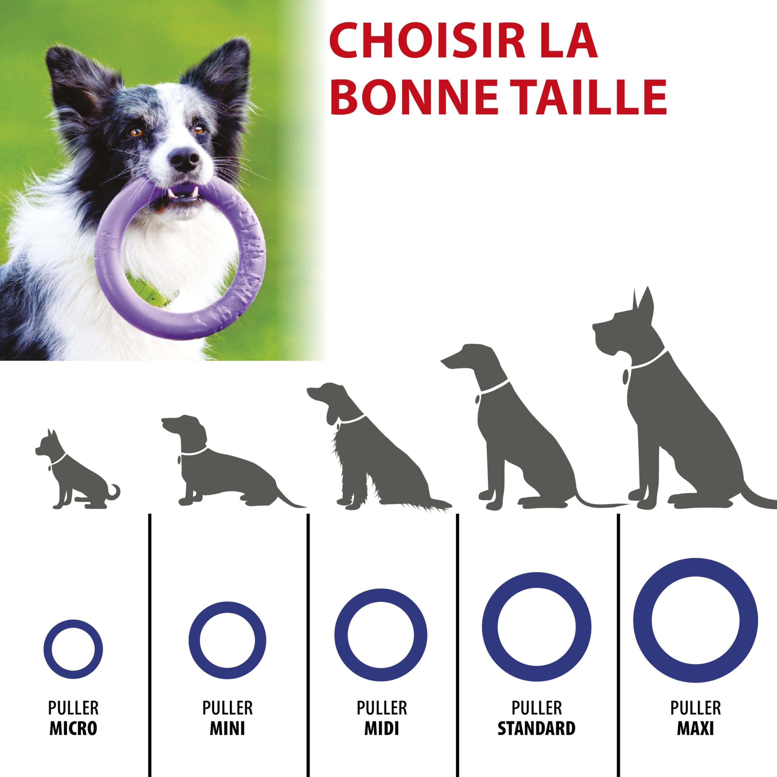 Ferplast Jouet Chien, Anneau Entrainement Chien à Mâcher, Course, Saut, Tir, Matériau Robuste Non Toxique, Flottant, PULLER MAXI, Jouets pour Chiens Grands, 1 Anneau de Fitness