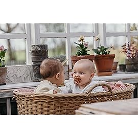 BIBS Pacifiers 6-18 Months | Colour Collection 2-Pack | BPA-Free Symmetrical Natural Rubber Nipple | Made in Denmark | Island Sea/Forest Lake Color Pacifier