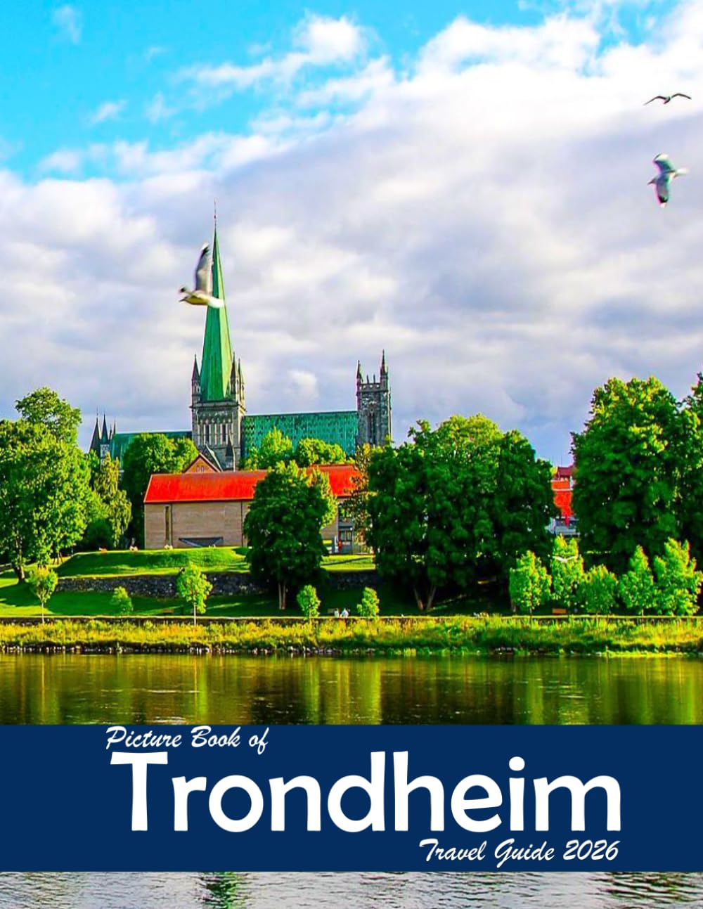 Trondheim, Norway: A Visual Journey Through Stunning Landmarks, Travel and Nature lovers.