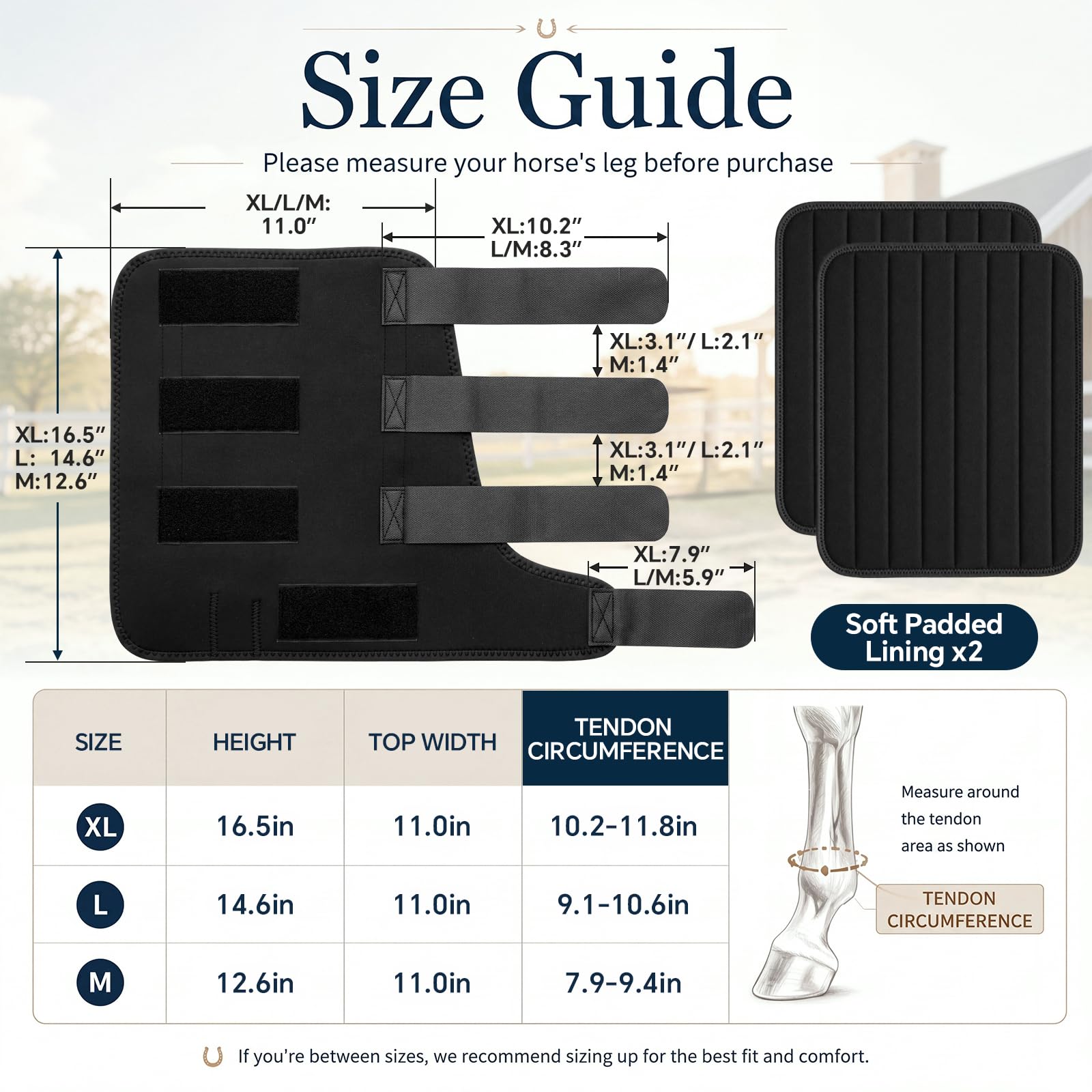 Abbylike L - Fasce imbottite per cavalli, in nylon, colore: nero | Fasce per gambe in nylon traspirante con cinghie regolabili in velcro per riposo stabile, spedizione e protezione quotidiana