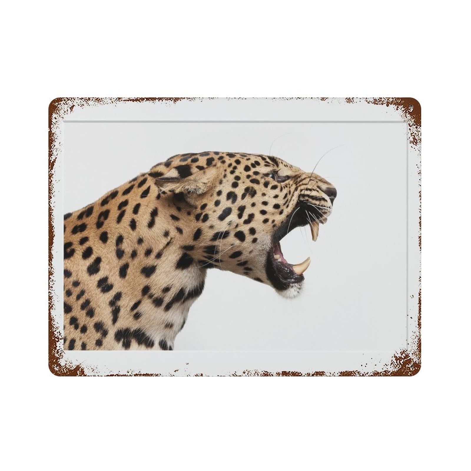 xiaoxiaoshen Panther Photography S Wall Decor Art Metal Tin Poster Modern Home Decor Art Home Bar Shop Decorations Vintage Sign 30x40cm
