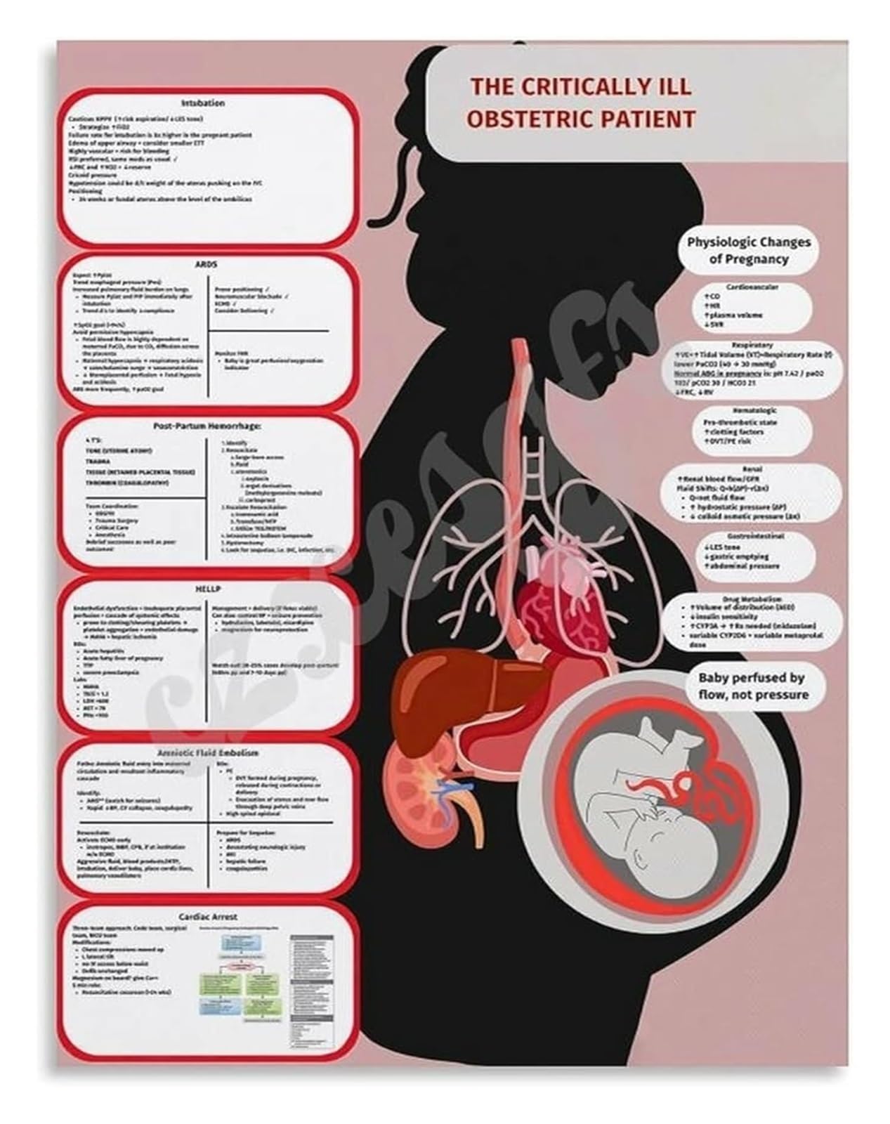 QMKADFQXF Emergency Obstetrics Poster Critical Care Algorithms for the Pregnant Patient Canvas Print for Hospital Training(Framed,12x18inch(30x45cm))