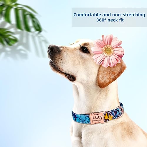 Miniatura 4 de Collar de perro personalizado con nombres y número de teléfono grabado, collar de perro de algodón suave y cómodo, collar ajustable para perros