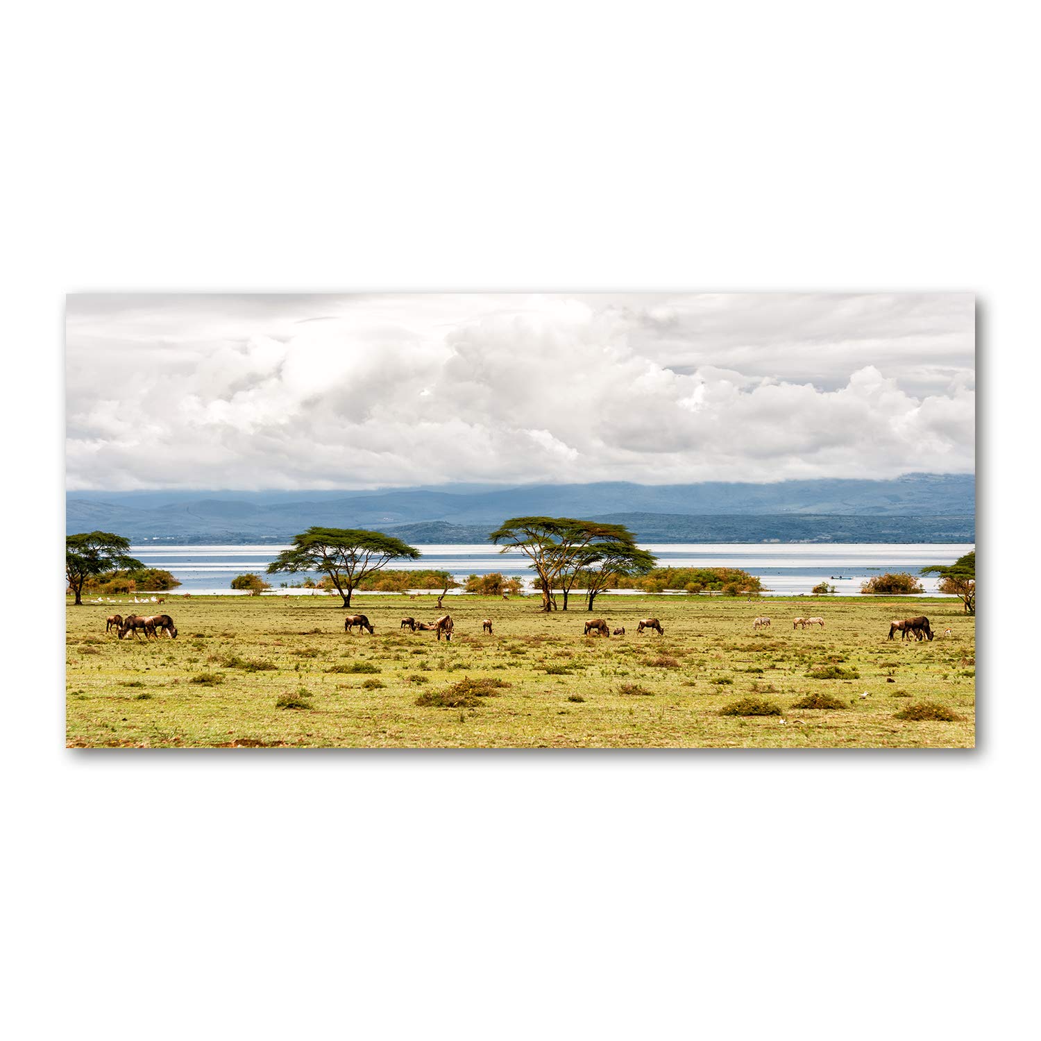 Tableau plexiglas Lago Naivasha Tulup 140x70 cm décoration murale en verre plastique acrylique