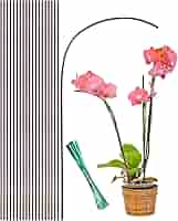棘.PLANTS Amazon.com : Plant Stakes 17inch &11inch SupKing Adjustable