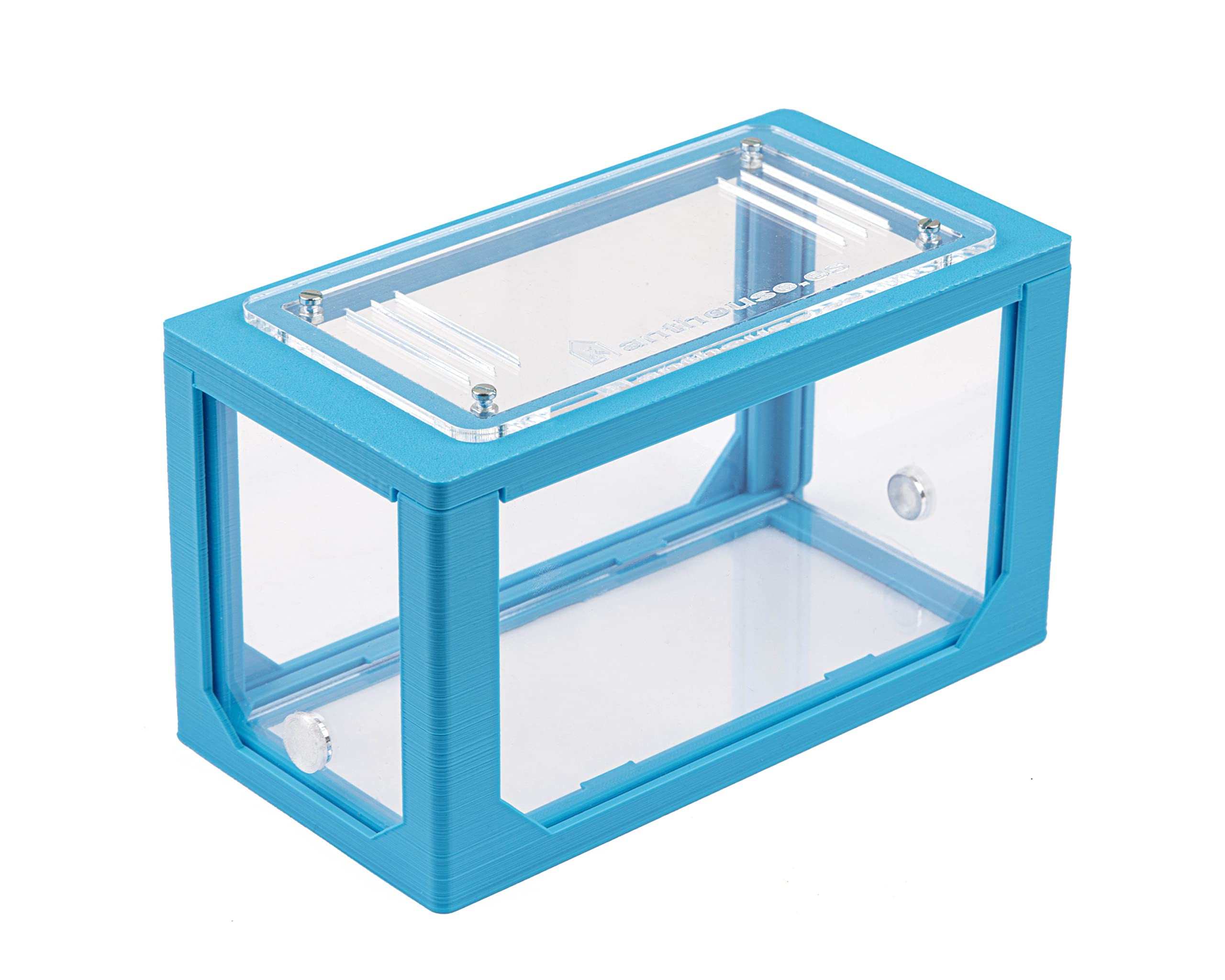 AntHouse Formicaio Naturale di Sabbia Kit Mini 3D Azzurro Sandwich Cassa di Foraggiamento Formiche Incluse Regina