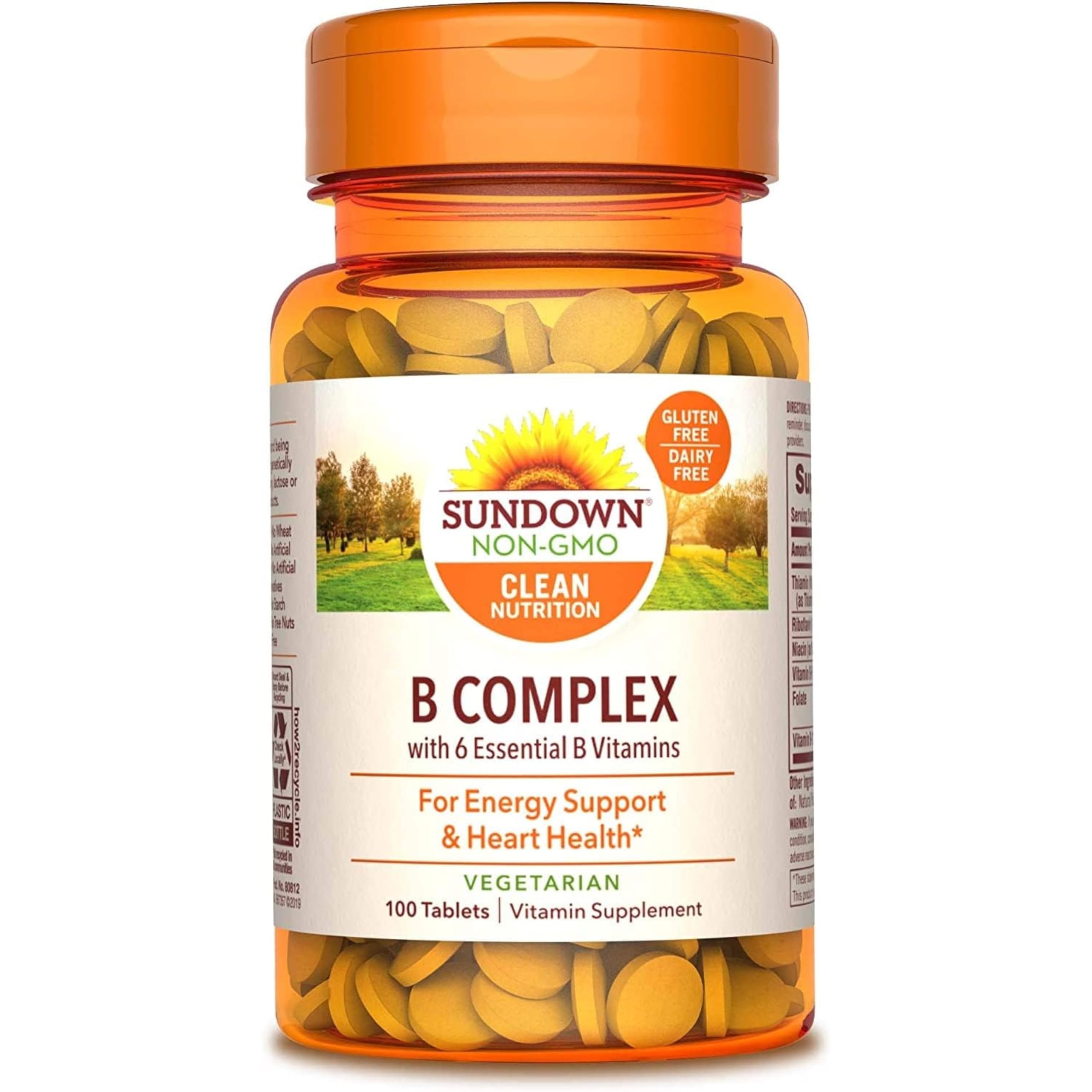 Sundown Naturals Vitamin B Complex, 100 Tablets Each (Pack of 2)
