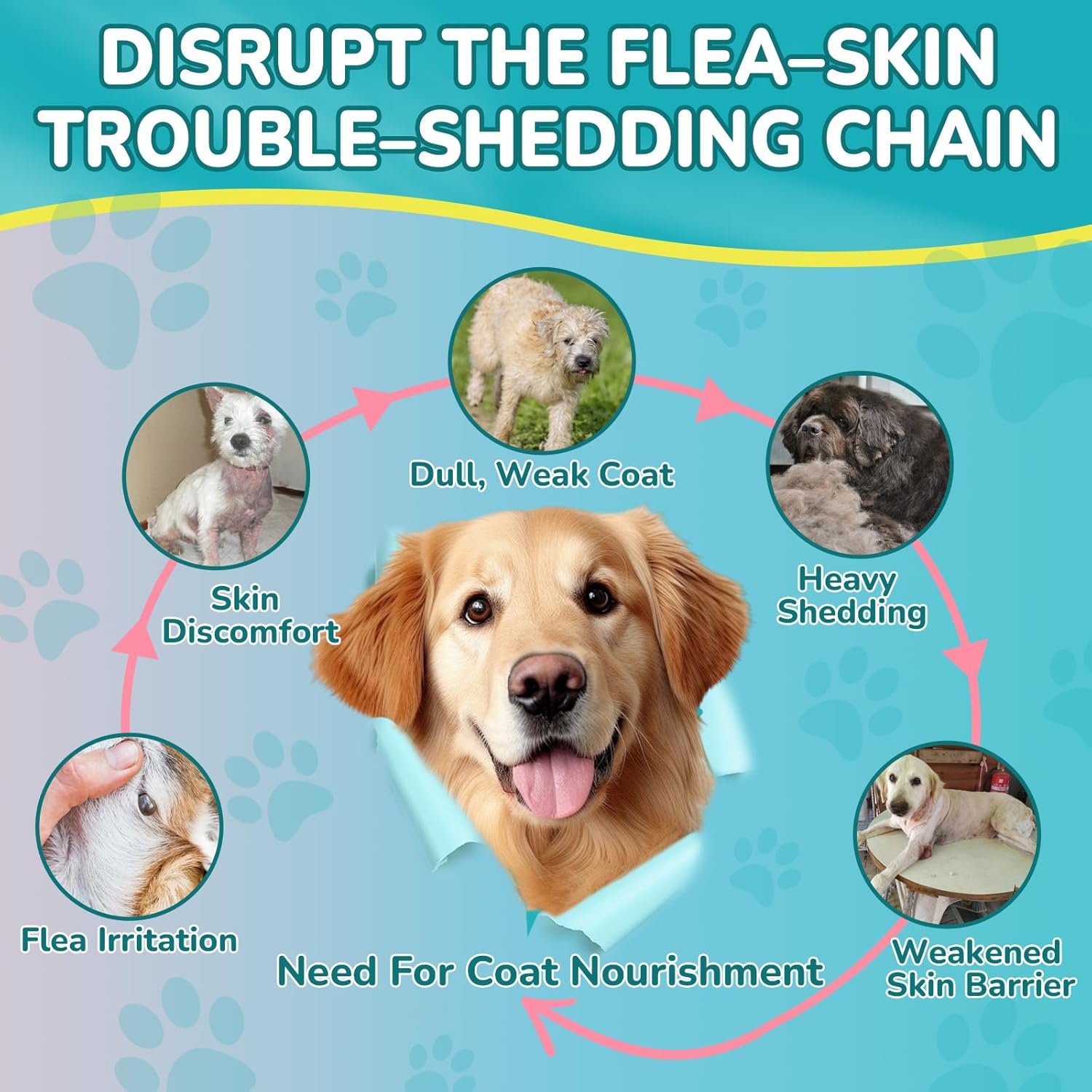 Flea + Coat Glow Soft Chews, Flea and Tick Prevention for Dogs, Dog Flea and Tick Treatment Chewable, Reduces Itch & Shedding with Fish Oil & Neem, 400 Chewables for All Breeds & Sizes