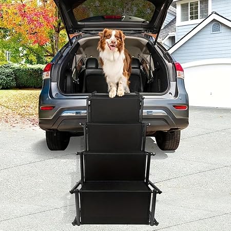 Luxus Rampe Hund Auto Bilder