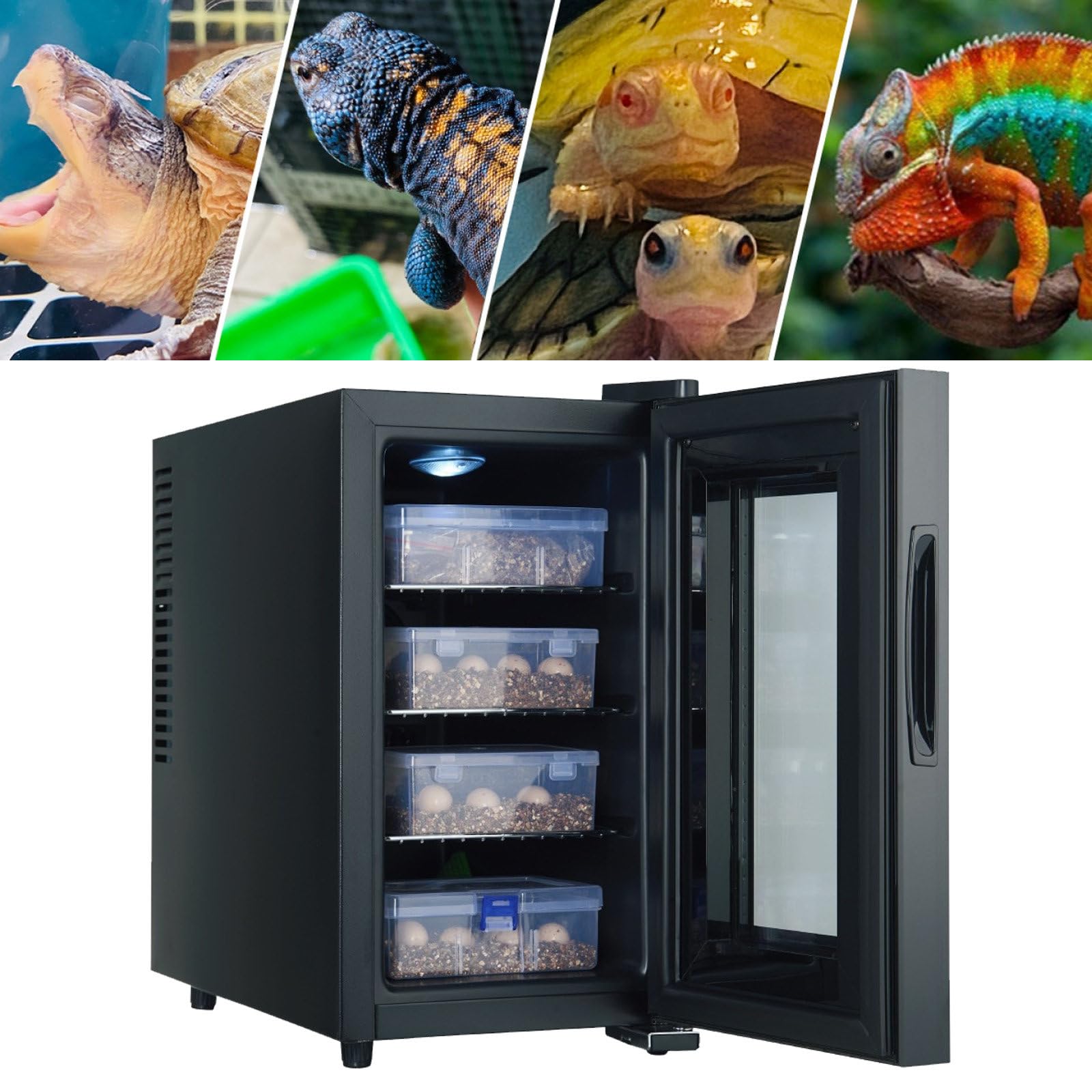 Incubadora Automática De Reptiles Grande 23/33/49L | Refrigeración Y Calefacción 10-40℃ | Criadero Silencioso De Huevos De Reptiles Con Pantalla Digital Led Para Tortugas, Lagartos Y Serpientes,23L