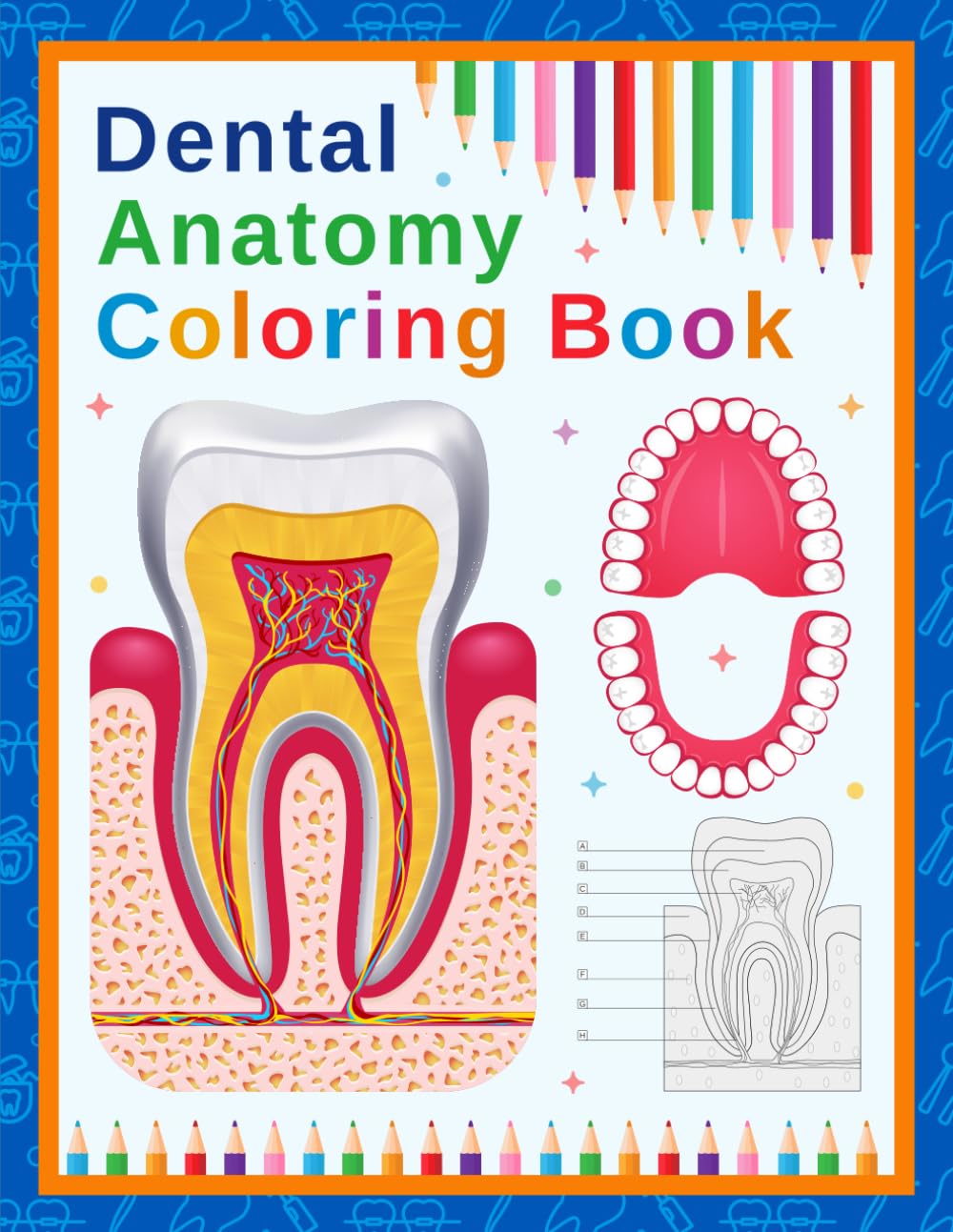 Dental Anatomy Coloring Book: A coloring book designed to teach dental anatomy, including teeth and oral structures, to medical and nursing students, featuring many more fun facts.