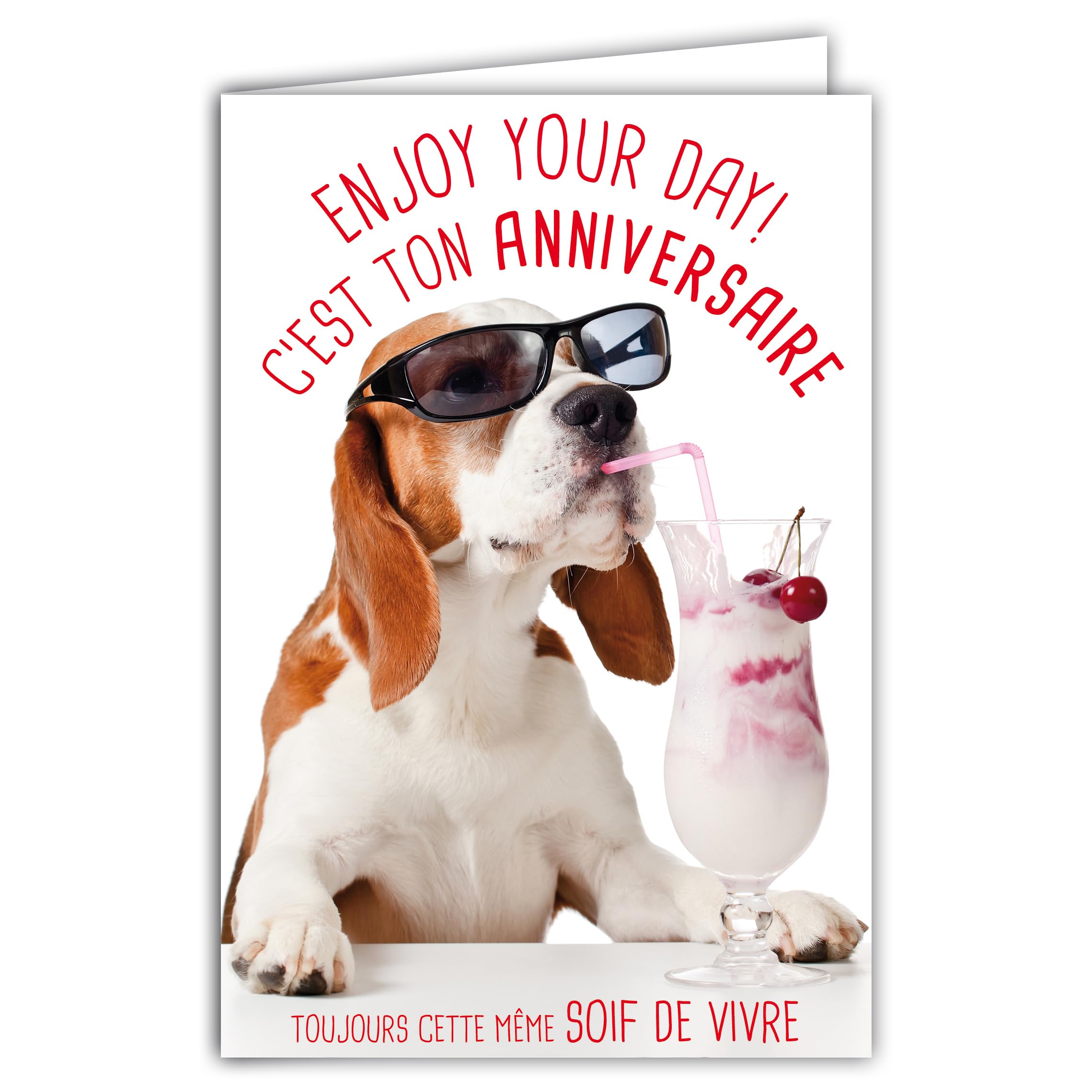 AFIE Humorous Happy Birthday Card with Illustrated Envelope 17.5 x 12 cm Funny Funny Dog with Sunglasses and Ice Cream Cherries Design 69-6208