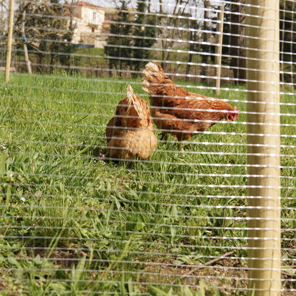 Oxeo Grillage à Poule 30m Haut 1m - Acier galvanisé à Chaud – Maille 16x16mm - Filet de clôture pour poulailler - Epaisseur Fil 0,8mm
