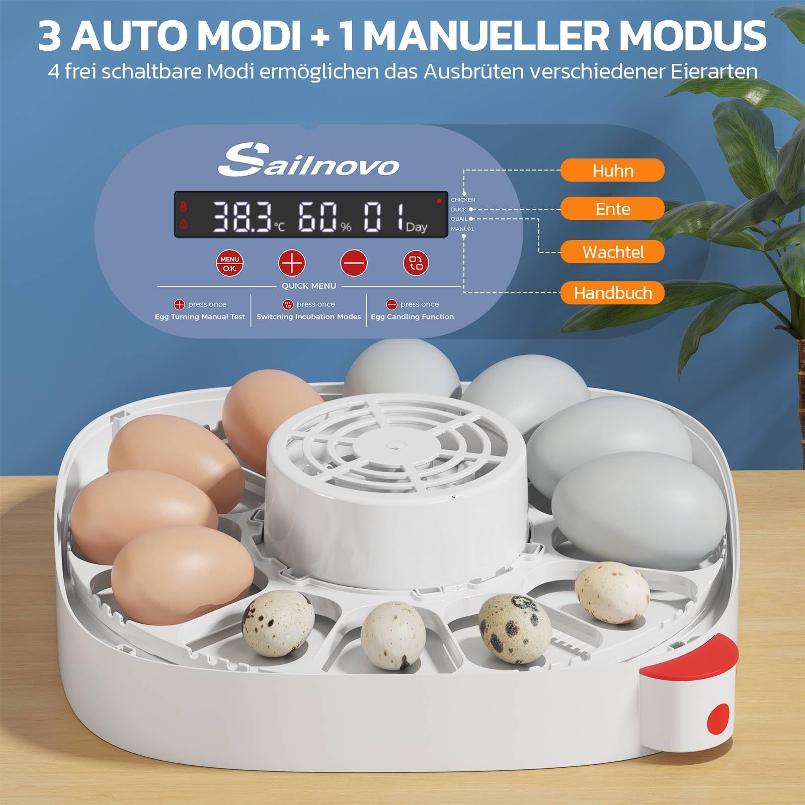 Sailnovo Incubadoras de huevos para incubar, 12 huevos, incubadora para huevos de gallina con 4 modos, visión de 360°, incubadora de huevos con giro automático y control de temperatura, Azul