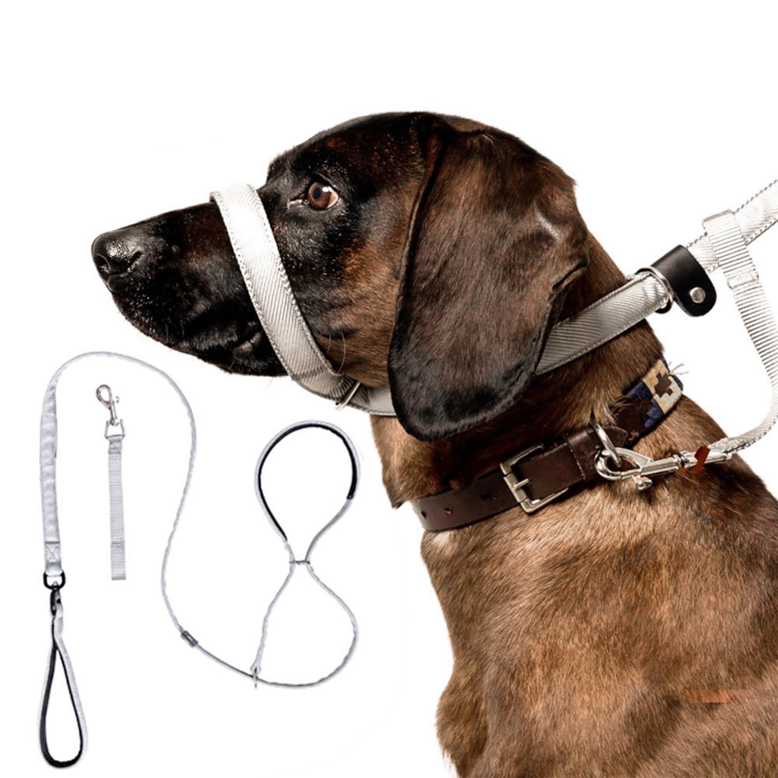 8ft Total Pet Figure Flat Dog Lead with Anti-Tangle Swivel | Anti-Pull Design Stops Pulling | Reflective Slip Lead with Padded Nose Support-180cm