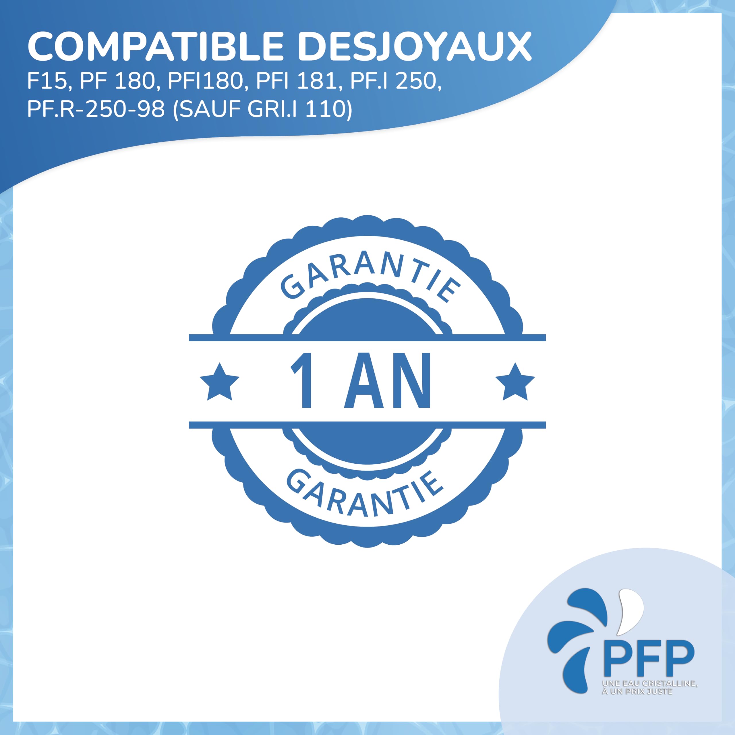 Poche Filtrante Compatible Piscine Desjoyaux 30 Microns Lot de 2 Eau Chargée