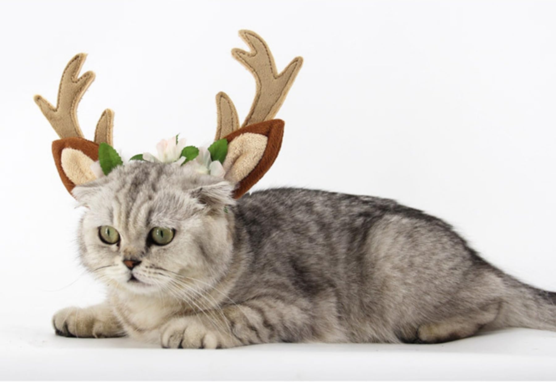Leowow Pet Christmas Reindeer Head Hoop Hair Accessories for Cats Dogs Christmas Decoration for Pets-Small