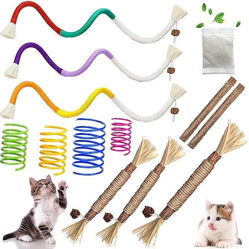 itPlus Juguetes para gatos, cuerdas masticables Silvervine Sticks de hierba gatera para el cuidado dental de gatitos, juguete de limpieza de dientes