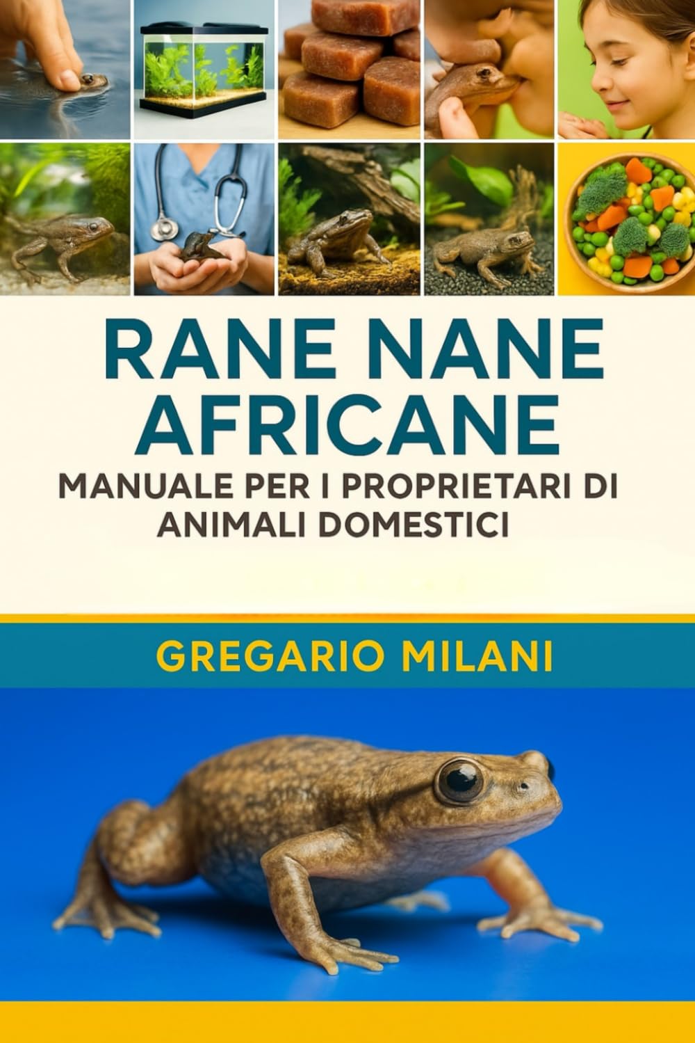 Rane nane africane MANUALE PER I PROPRIETARI DI ANIMALI DOMESTICI: UNA GUIDA COMPLETA ALLA LORO CURA, HABITAT, PROPRIETÀ, ALIMENTAZIONE, SALUTE E ALTRO ANCORA