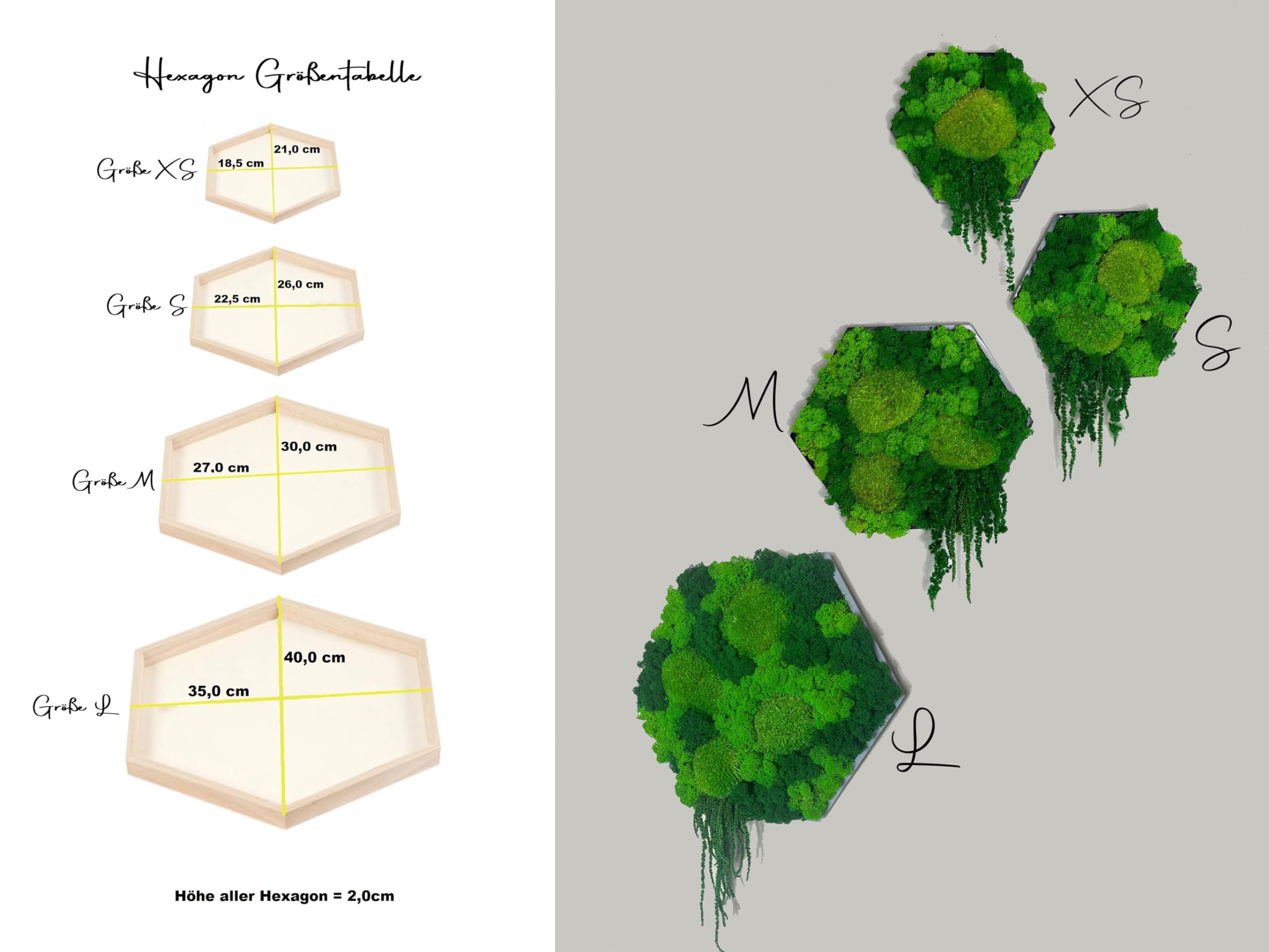 Gedankenwunder Manufaktur Island Ranke Moosbild Hexagon Sechseck