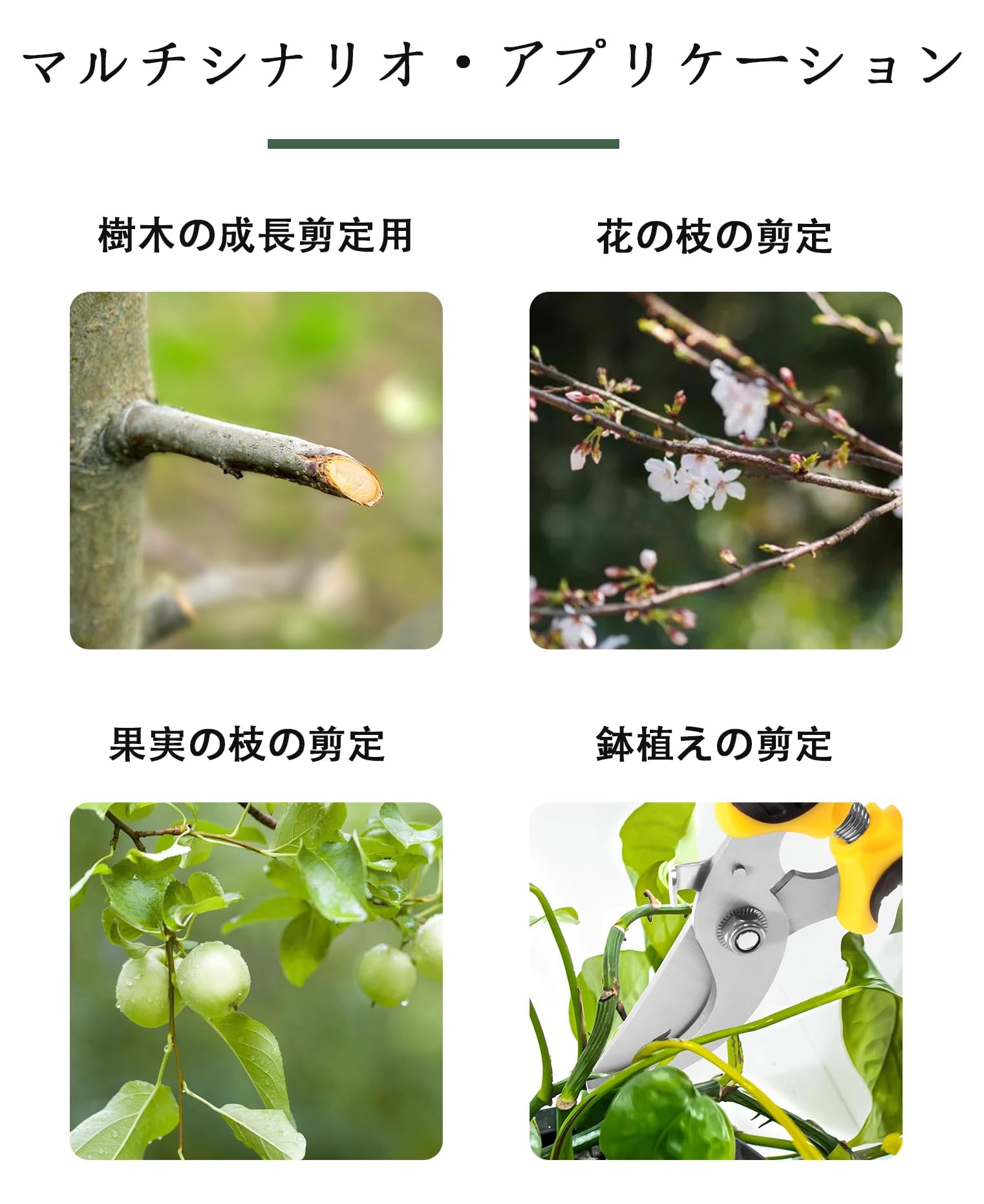 多機能園芸ハサミ：ステンレス鋼材質、人間工学デザイン、鋭利な刃先、滑り止めハンド…