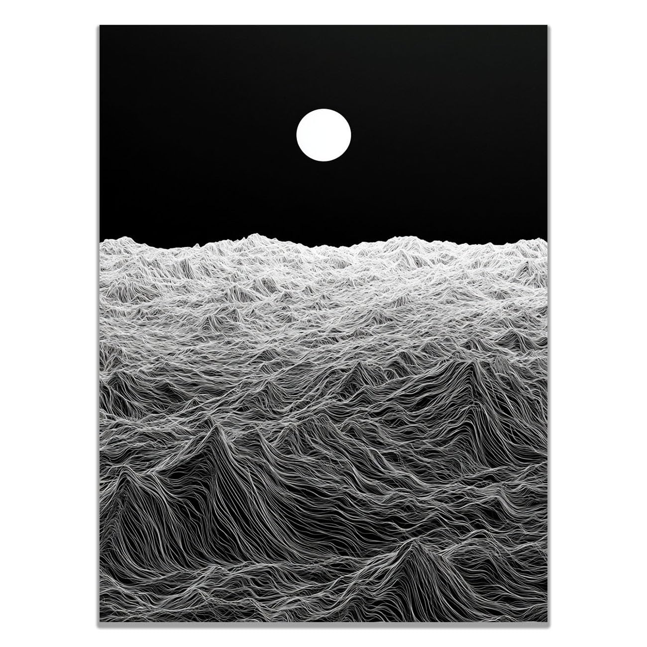 Cuadro abstracto blanco y negro en lienzo de 40x60cm sin marco para salón 8