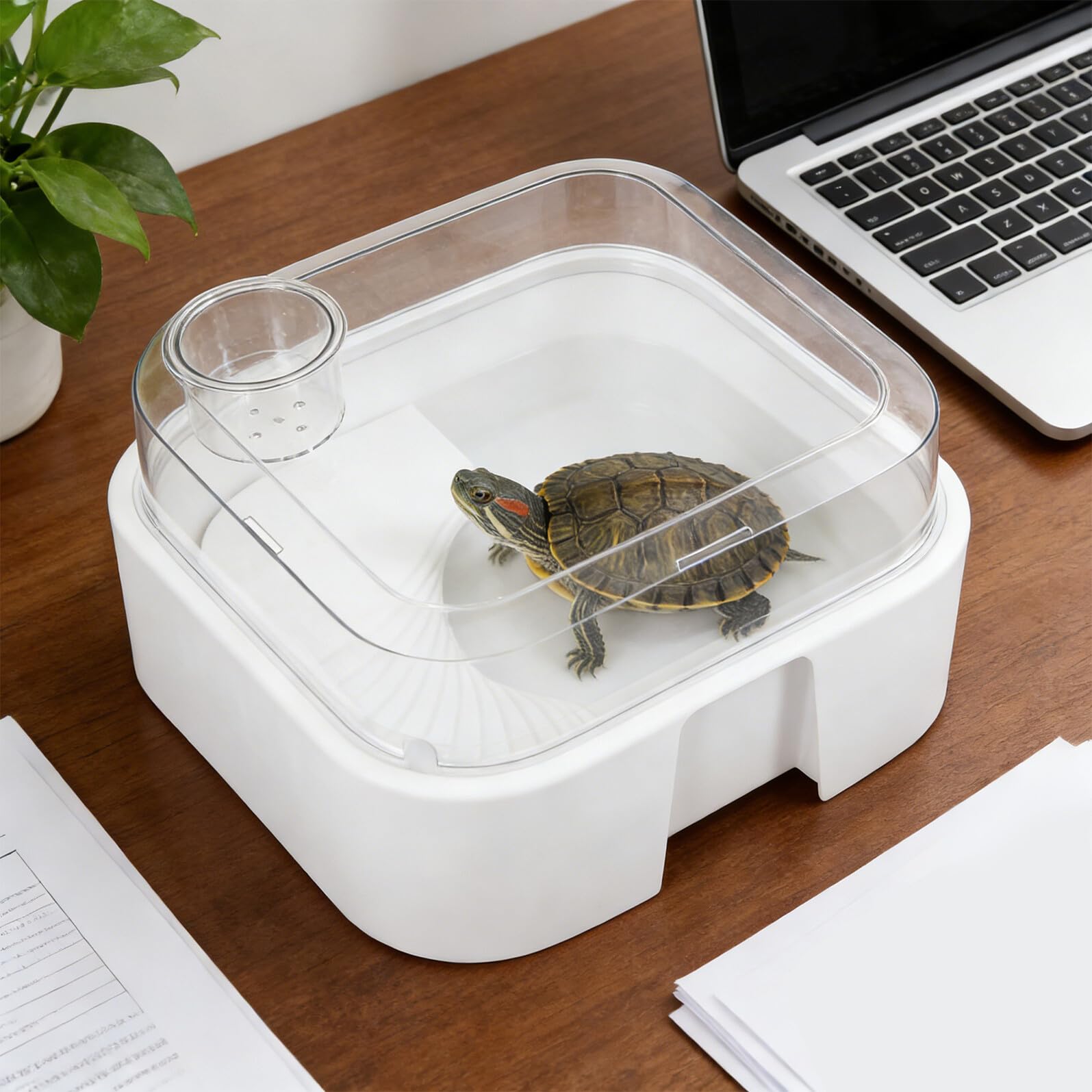 Terrarium pour Tortues en Plastique avec Couvercle Anti-évasion, Plateforme de Repos Intégrée, Petit Aquarium pour Tortues d'eau, Habitat Sécurisé et Facile à Nettoyer,