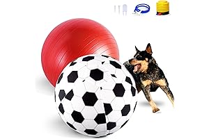 The Ultimate Herding Dog Ball: Enhance Your Dog's Exercise with Joy