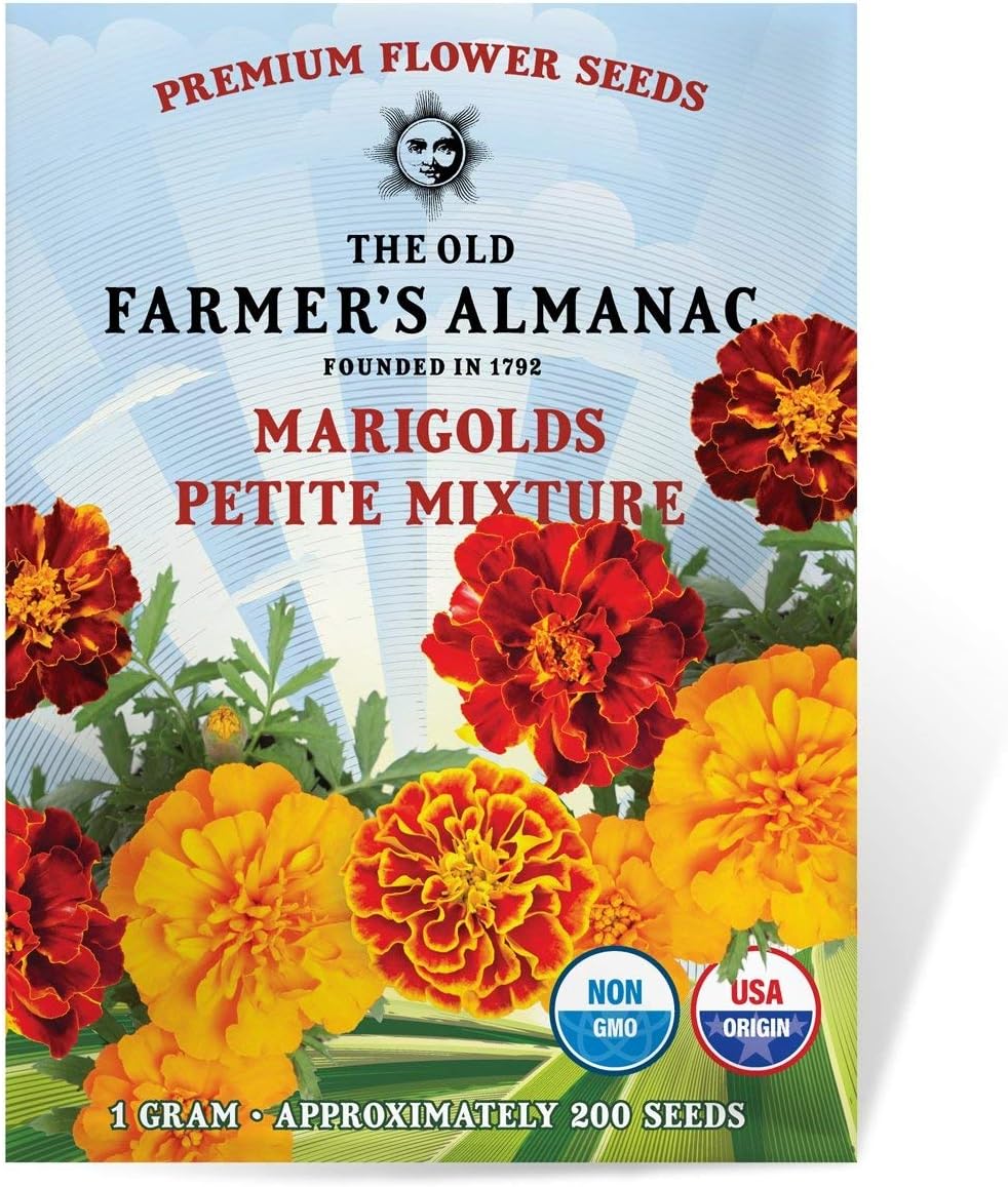 The Old Farmer's Almanac Petite Mixture Marigold Seeds - Premium Non-GMO, Open Pollinated, USA Origin - Approx 200 Flower Seeds