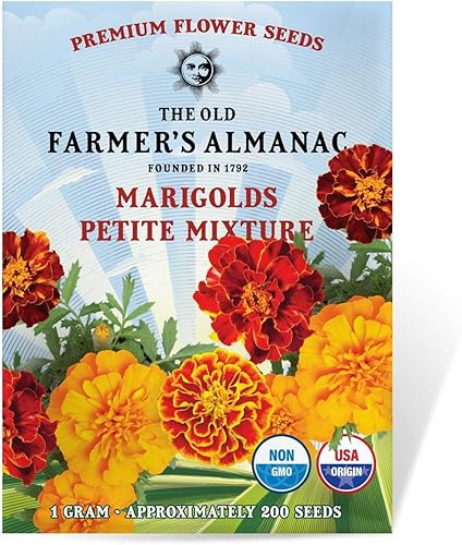 The Old Farmer's Almanac Petite Mixture - Semillas de caléndula – Premium sin OMG, polinizado abierto, origen de Estados Unidos – Aproximadamente