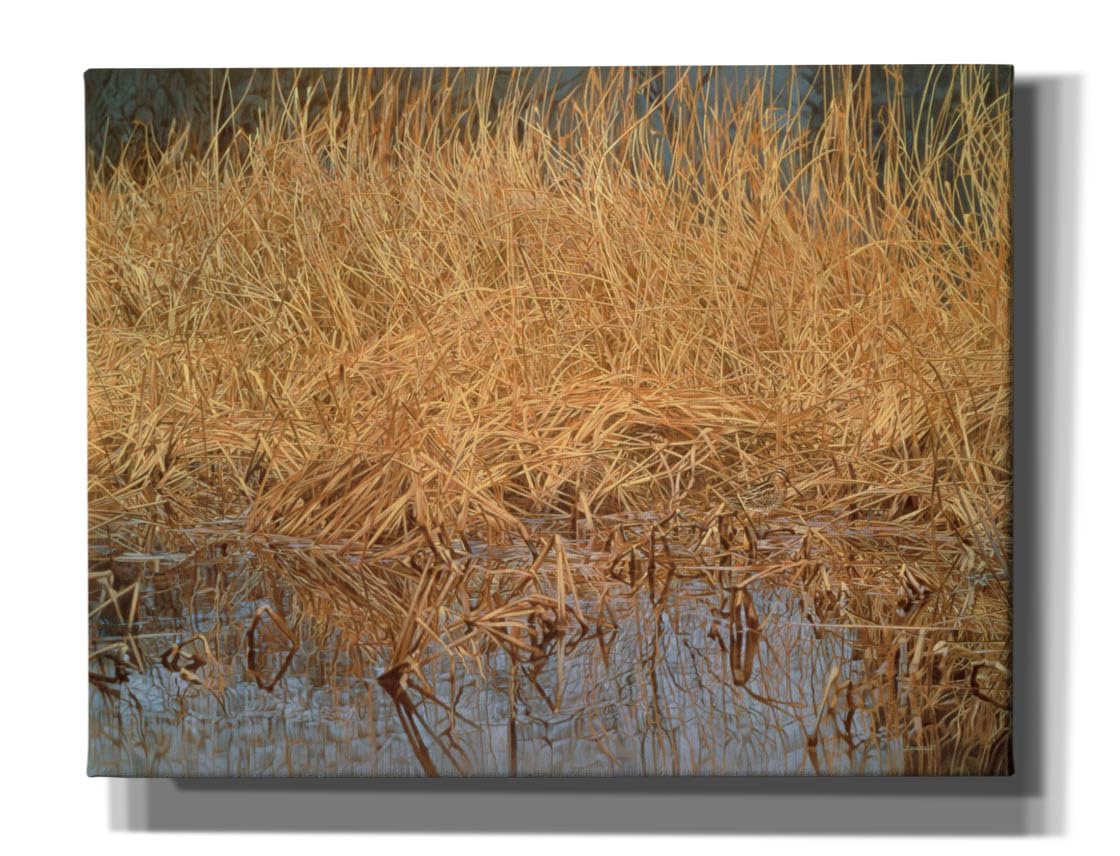 Epic Graffiti 'Common Snipe' by Joh Naito, Canvas Wall Art, 34"x26"