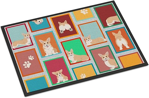 Vista 264 de Caroline's Treasures MLM1087MAT - Felpudo de perro de montaña bernés de 18 x 27 pulgadas, para interiores y exteriores, para entrada, Bernese