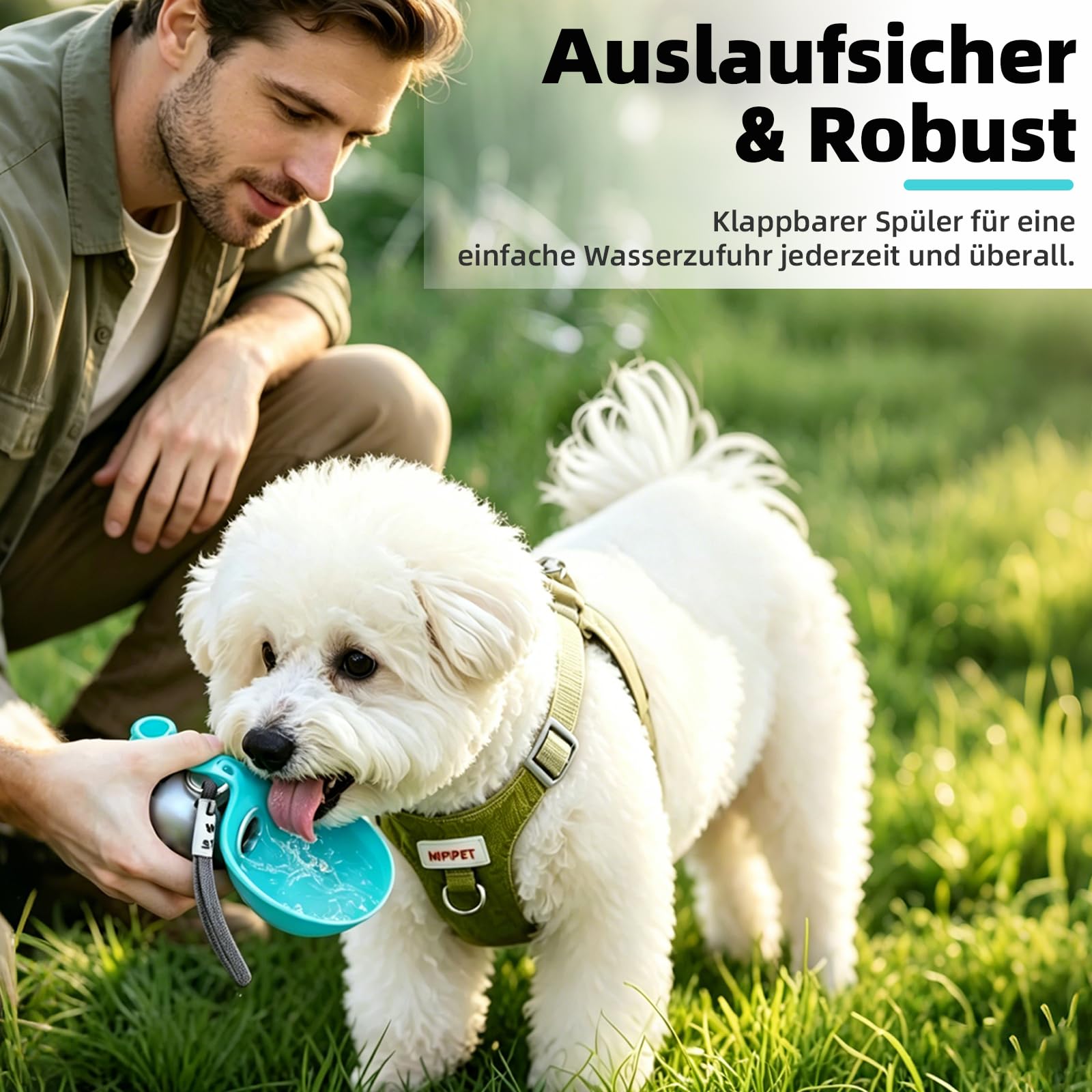 Gourde d'eau pour chien en déplacement 285ml, Bouteille d'eau en acier inoxydable avec système anti-retour, Gamelle pliable en silicone pour chien, Bouteille d'eau pour chien à emporter pour