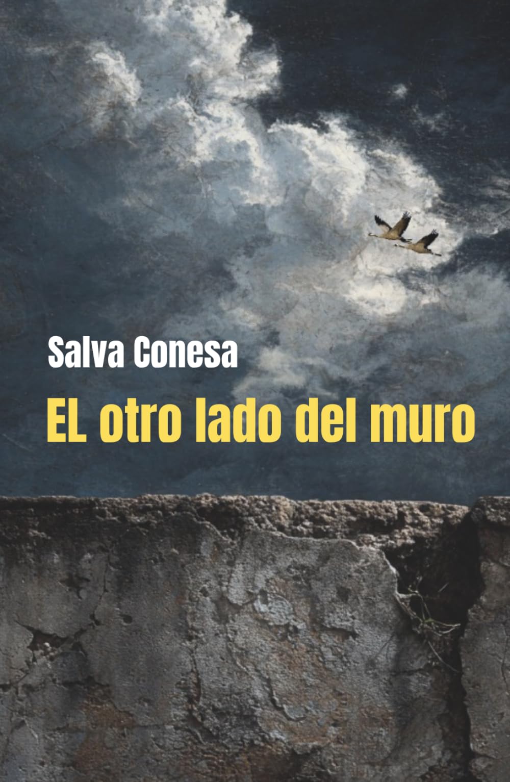 El otro lado del muro