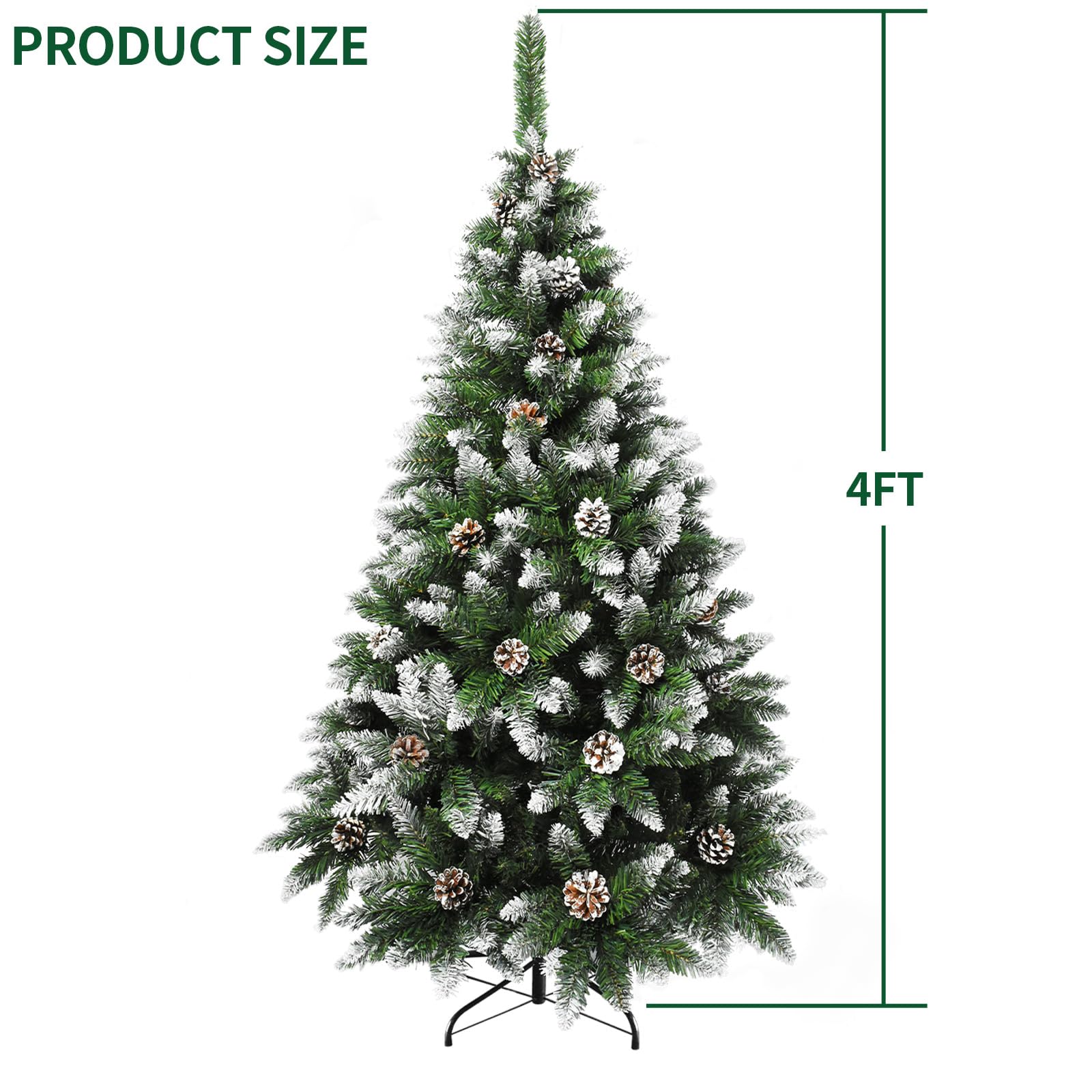 https://m.media-amazon.com/images/I/71fxYT96fpL.jpg